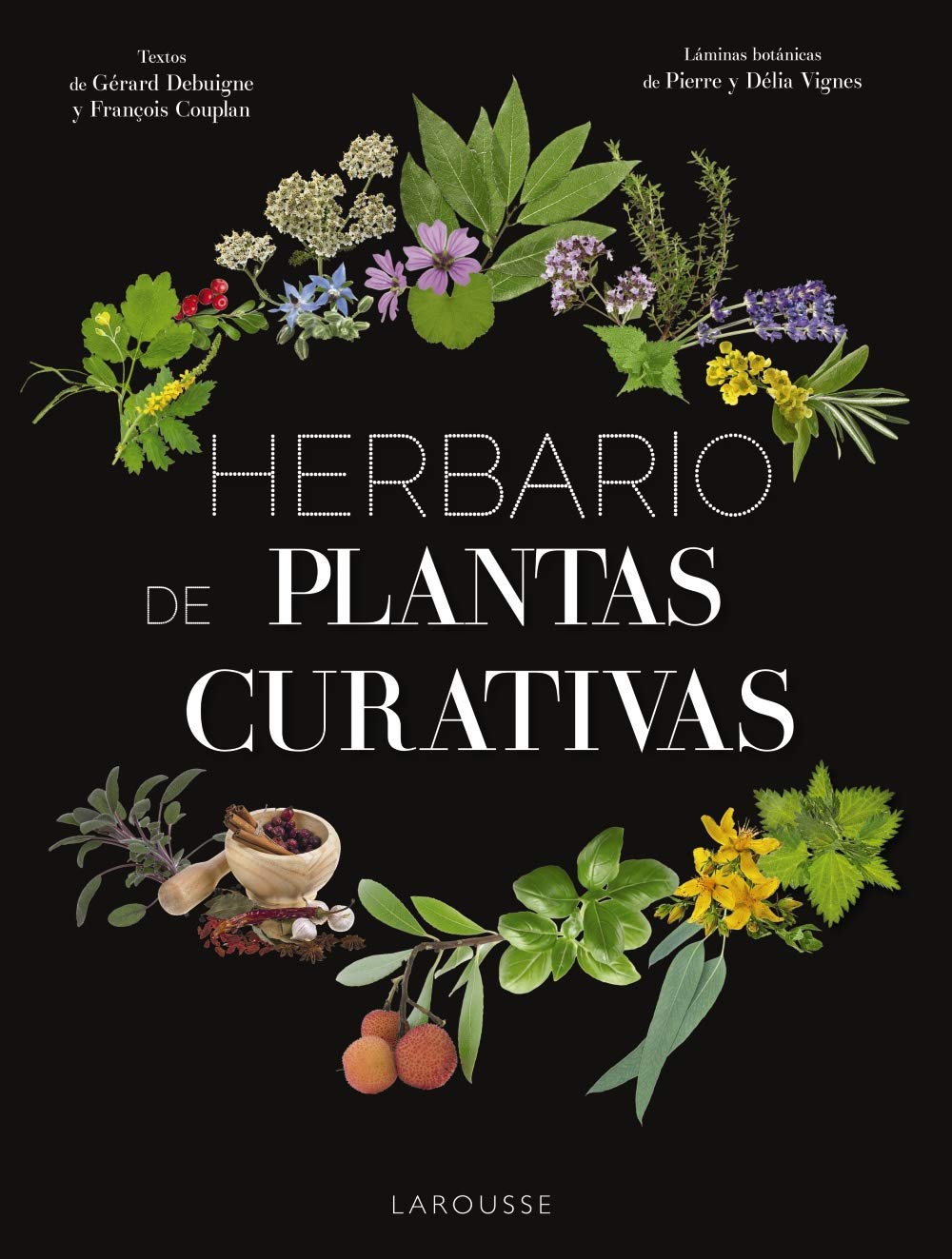Herbario de plantas curativas (LAROUSSE - Libros Ilustrados/ Prácticos)