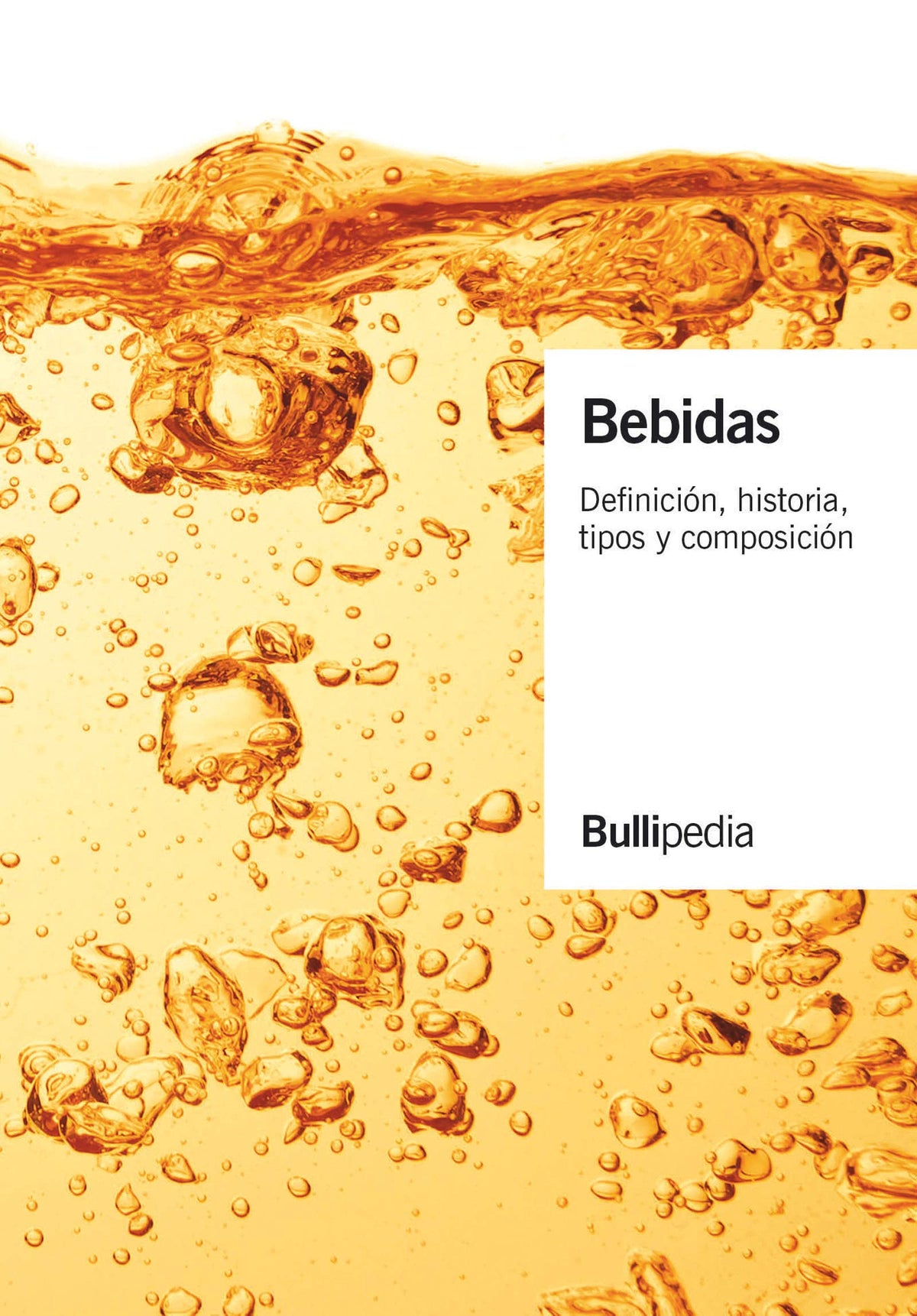 BEBIDAS
