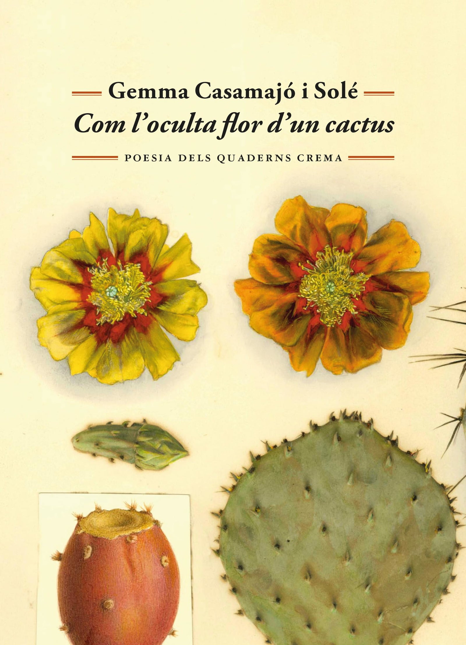 Com l'oculta flor d'un cactus: 76 (Poesia dels Quaderns Crema)