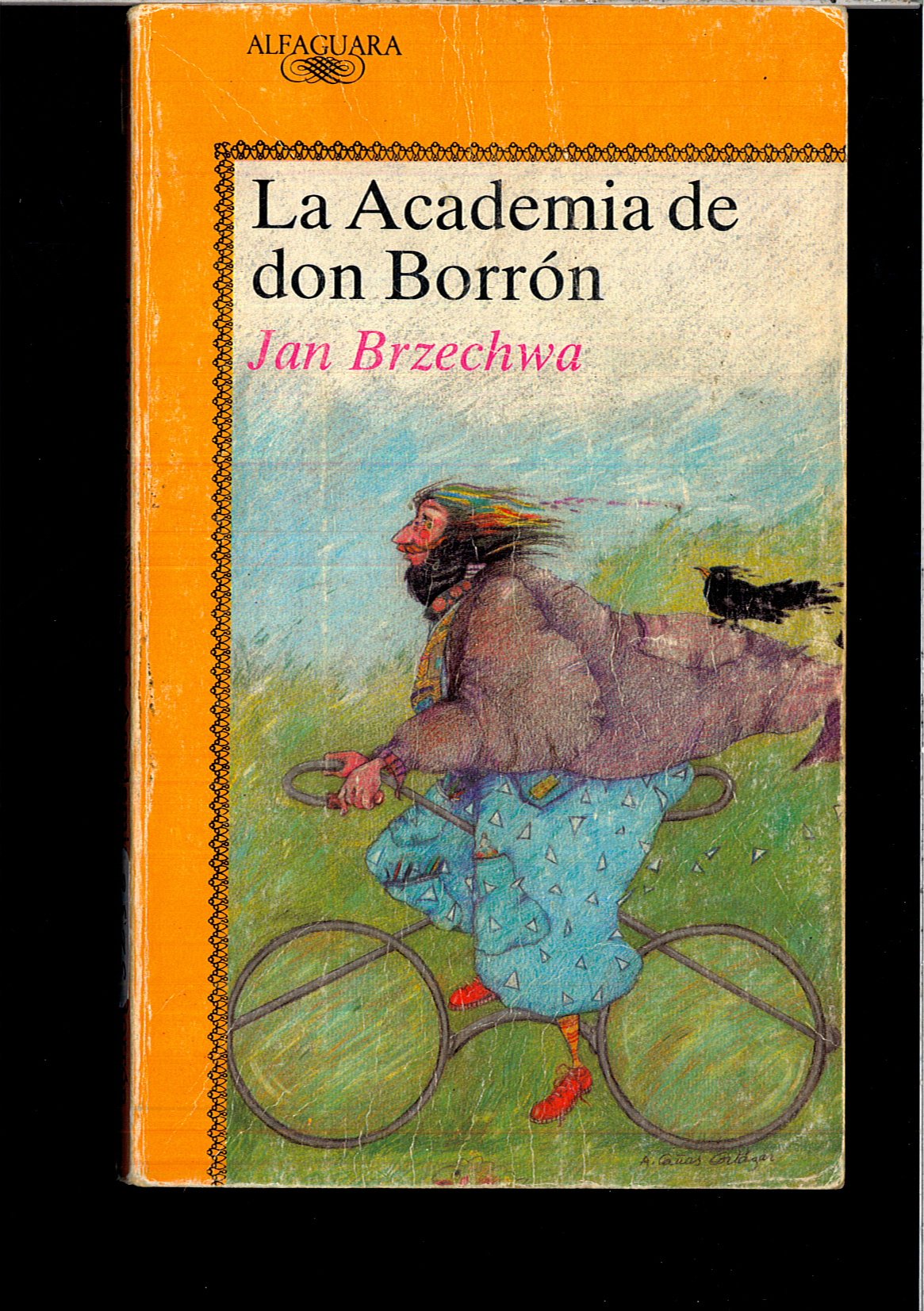 Academia de don borron, la