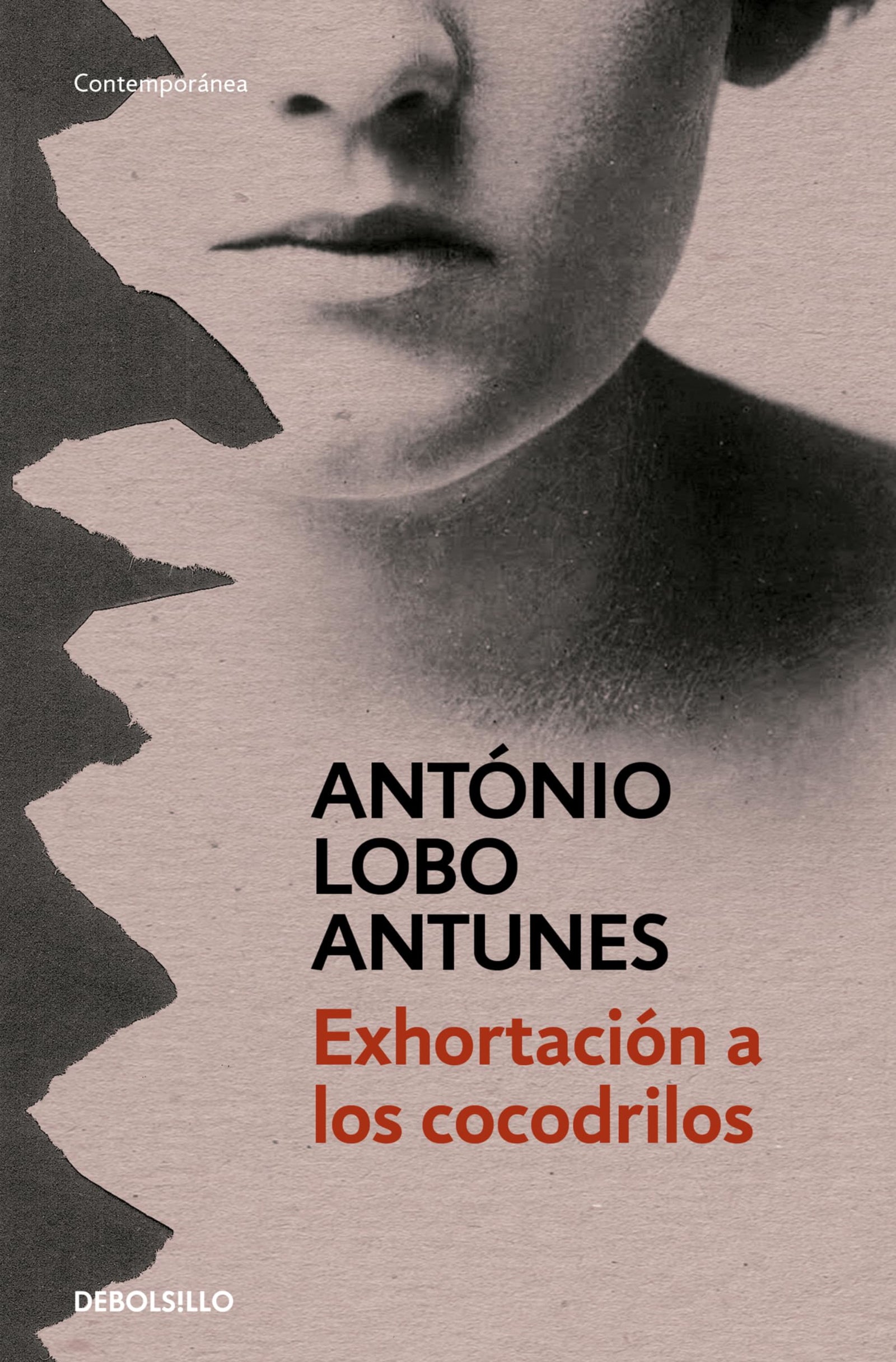 Exhortación a los cocodrilos (Contemporánea)