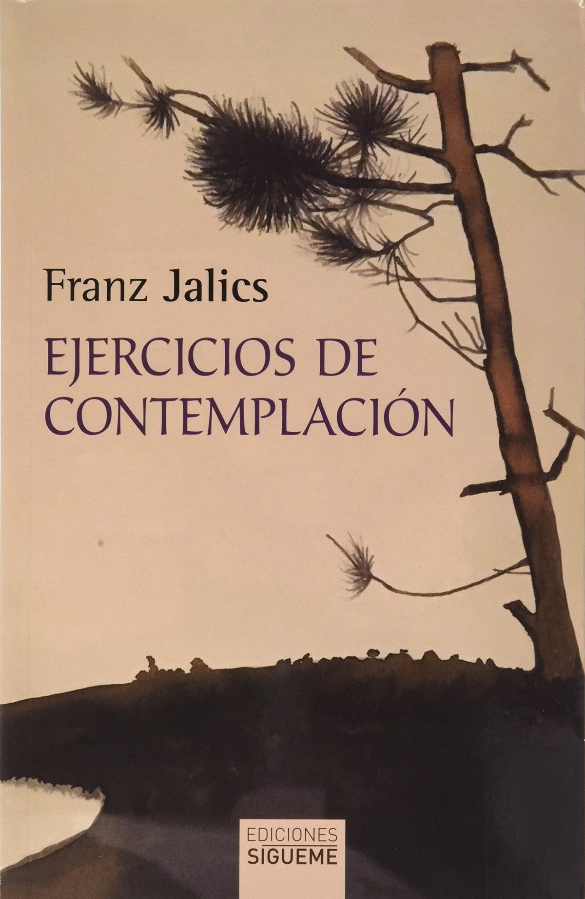Ejercicios de contemplación