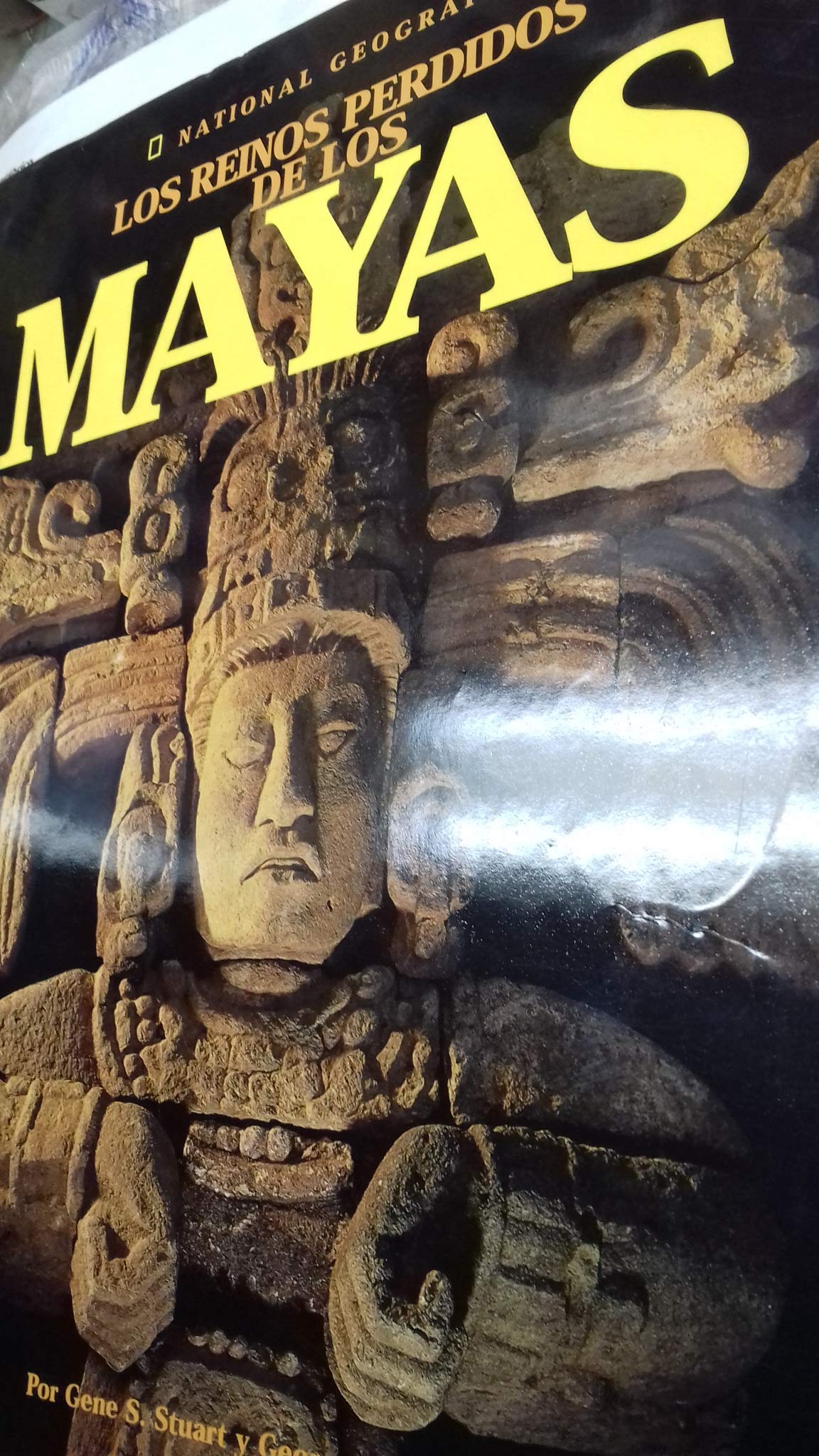Los reinos perdidos de los mayas