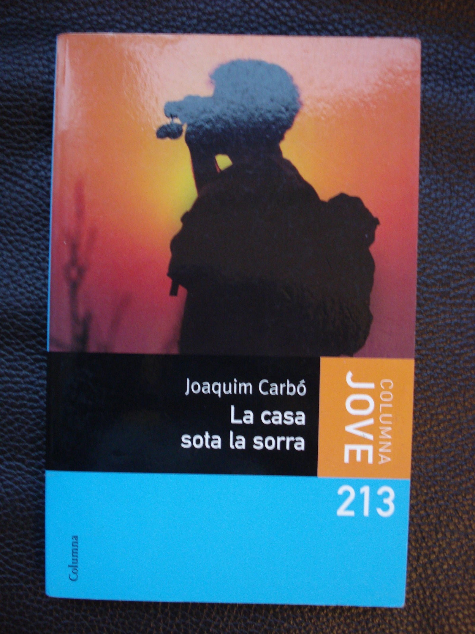 La casa sota la sorra (COL.LECCIO JOVE)