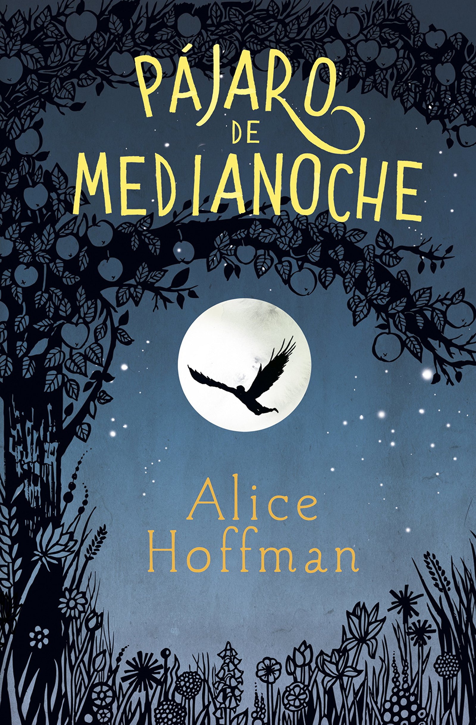 Pájaro de medianoche (Jóvenes lectores)