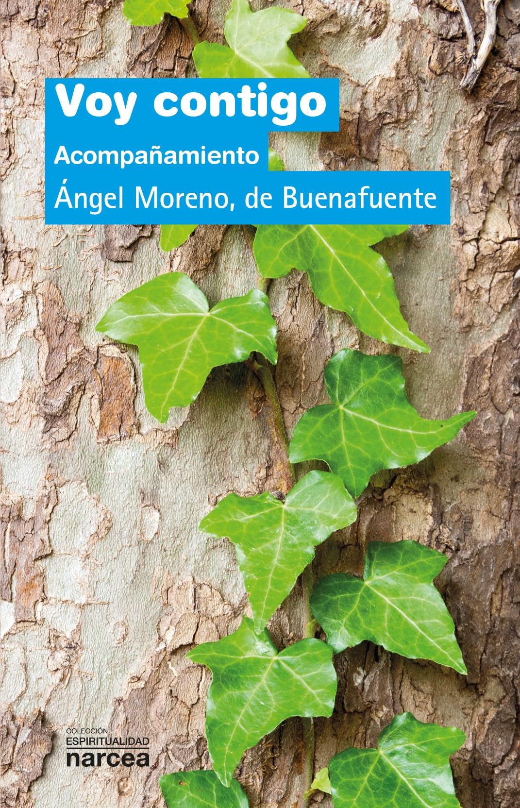 Voy Contigo: Acompañamiento: 225 (Espiritualidad)
