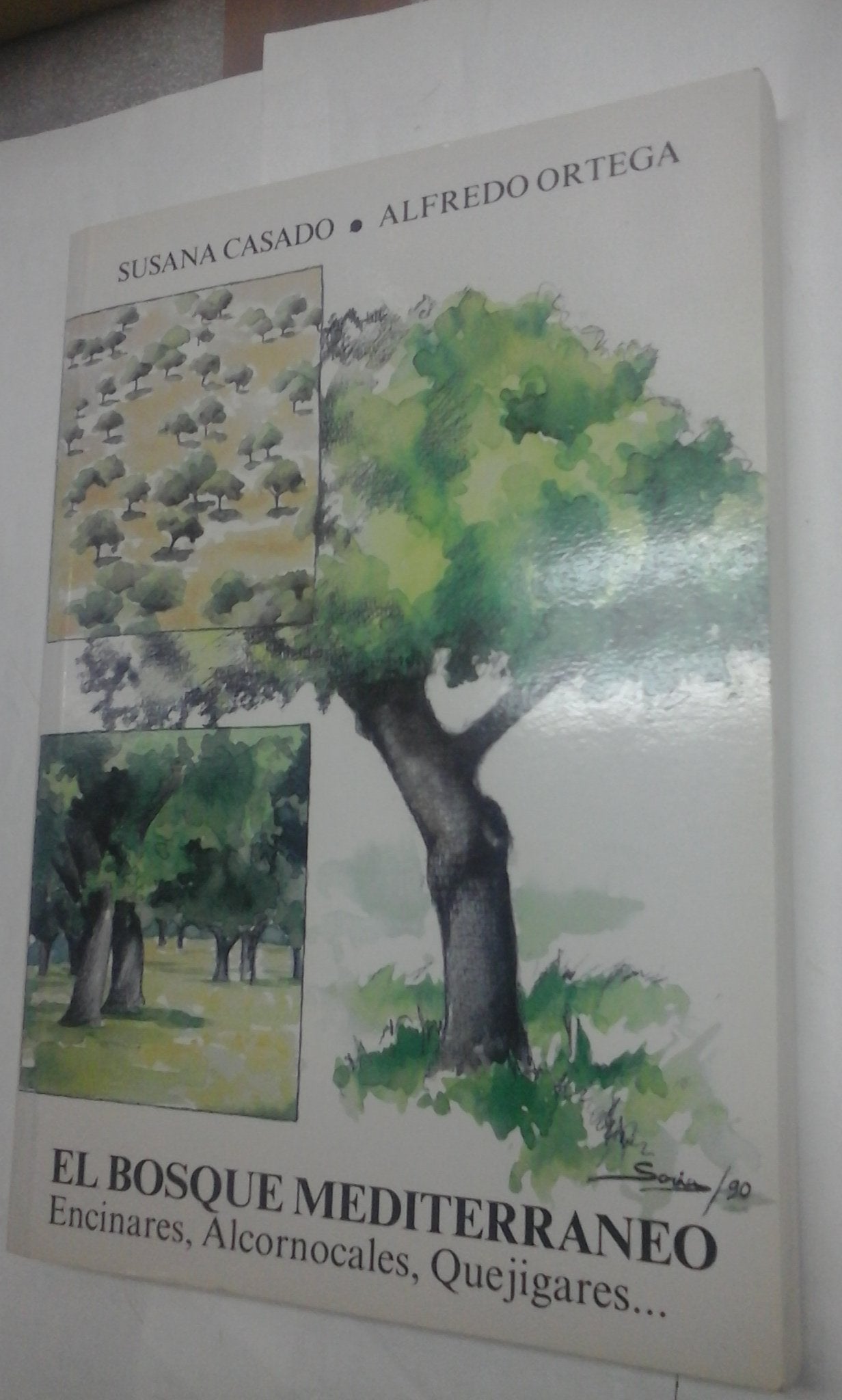 Bosque mediterraneo, el (encinares, alcornocales )