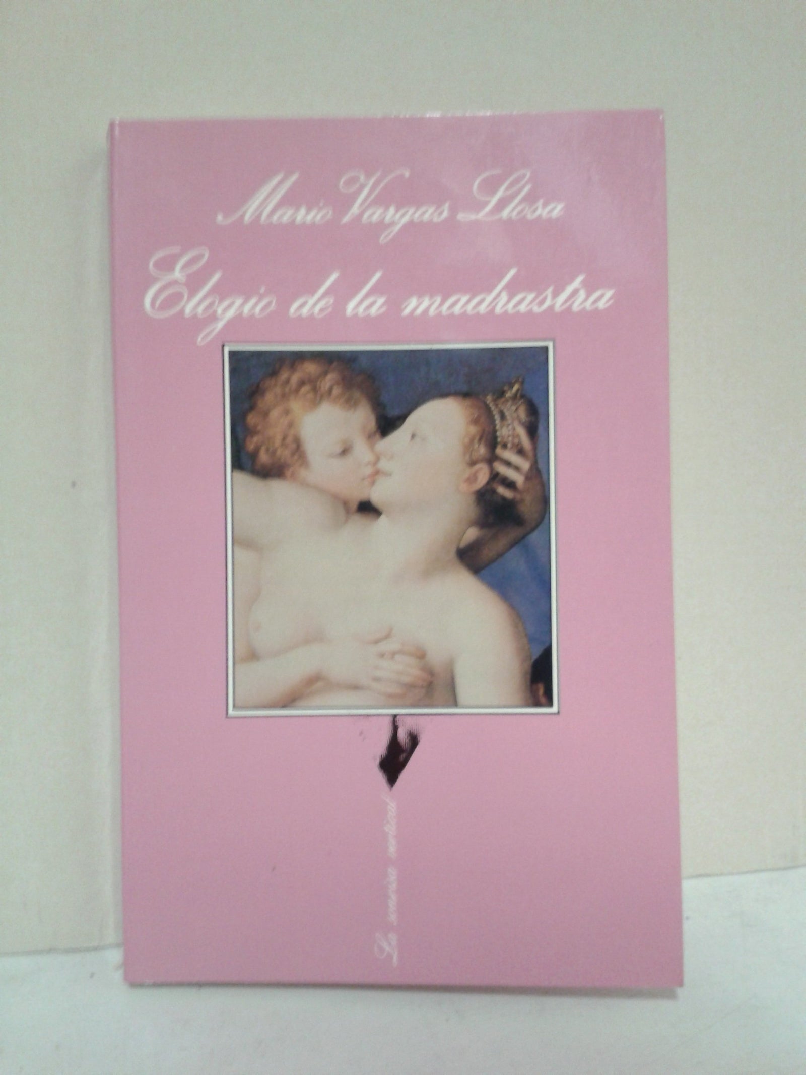 Elogio De La Madrastra