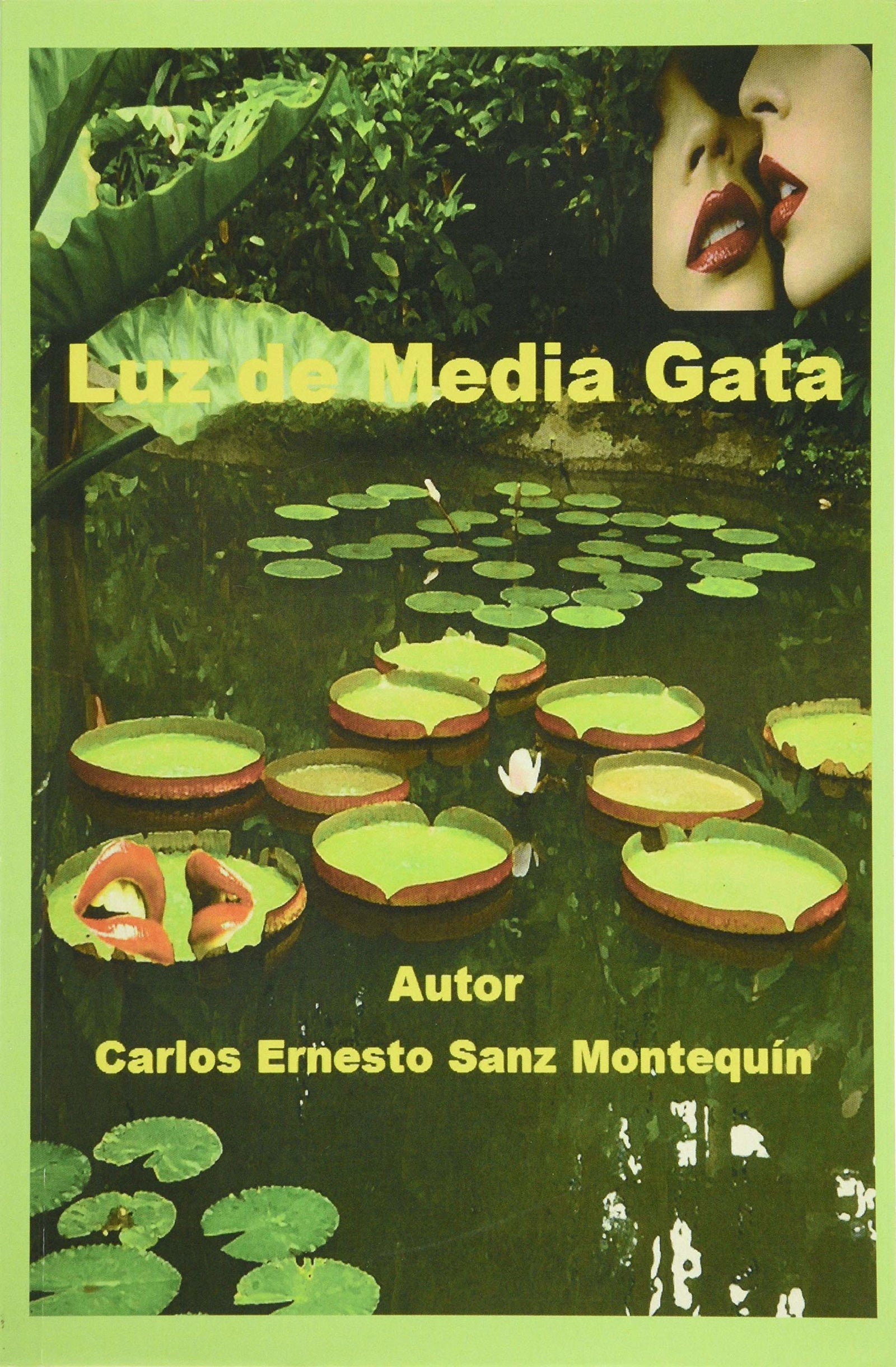 Luz de Media Gata