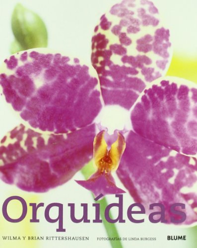 Orquídeas