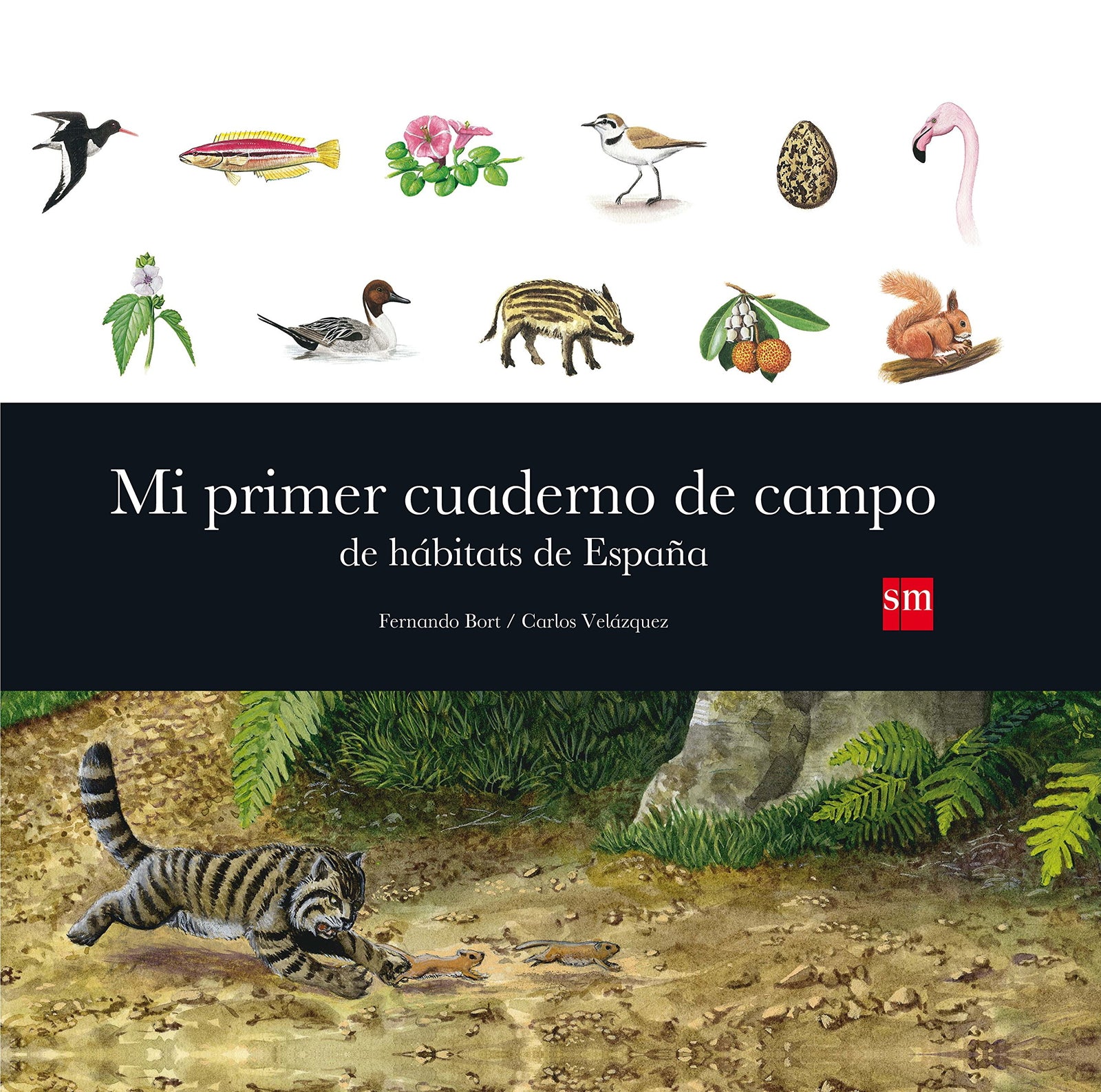 Mi primer cuaderno de campo de hábitats de España (Para aprender más sobre)