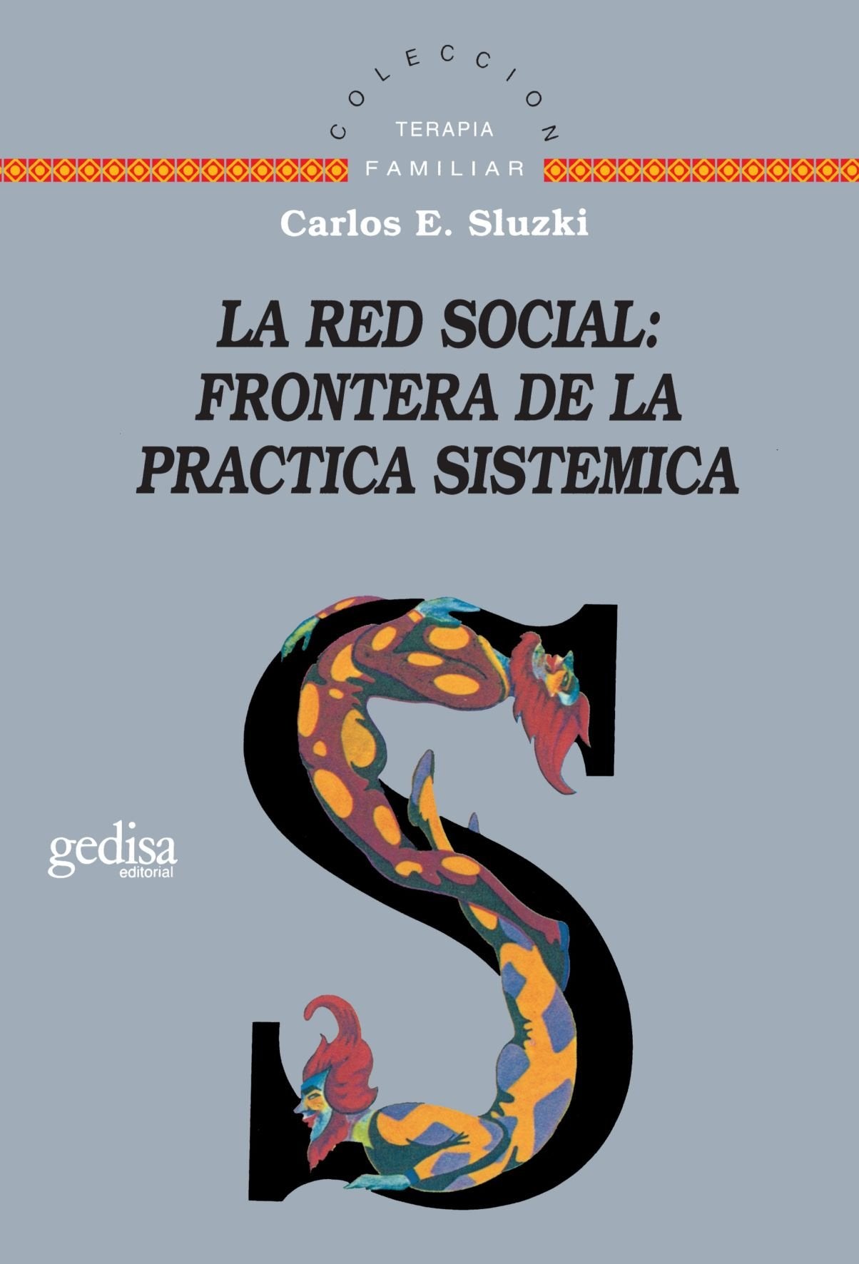 La Red Social: Fronteras De La Práctica Sistemica: Frontera de La Practica Sistemica (SIN COLECCION)