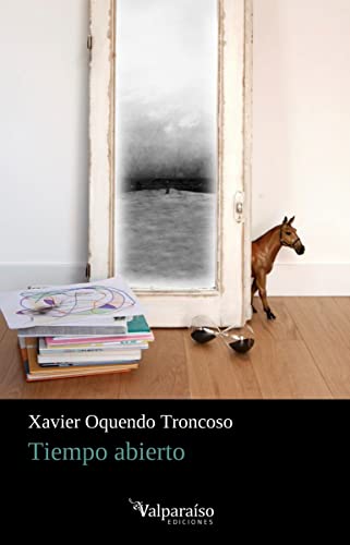 Tiempo abierto: 317 (Colección Valparaíso de Poesía)