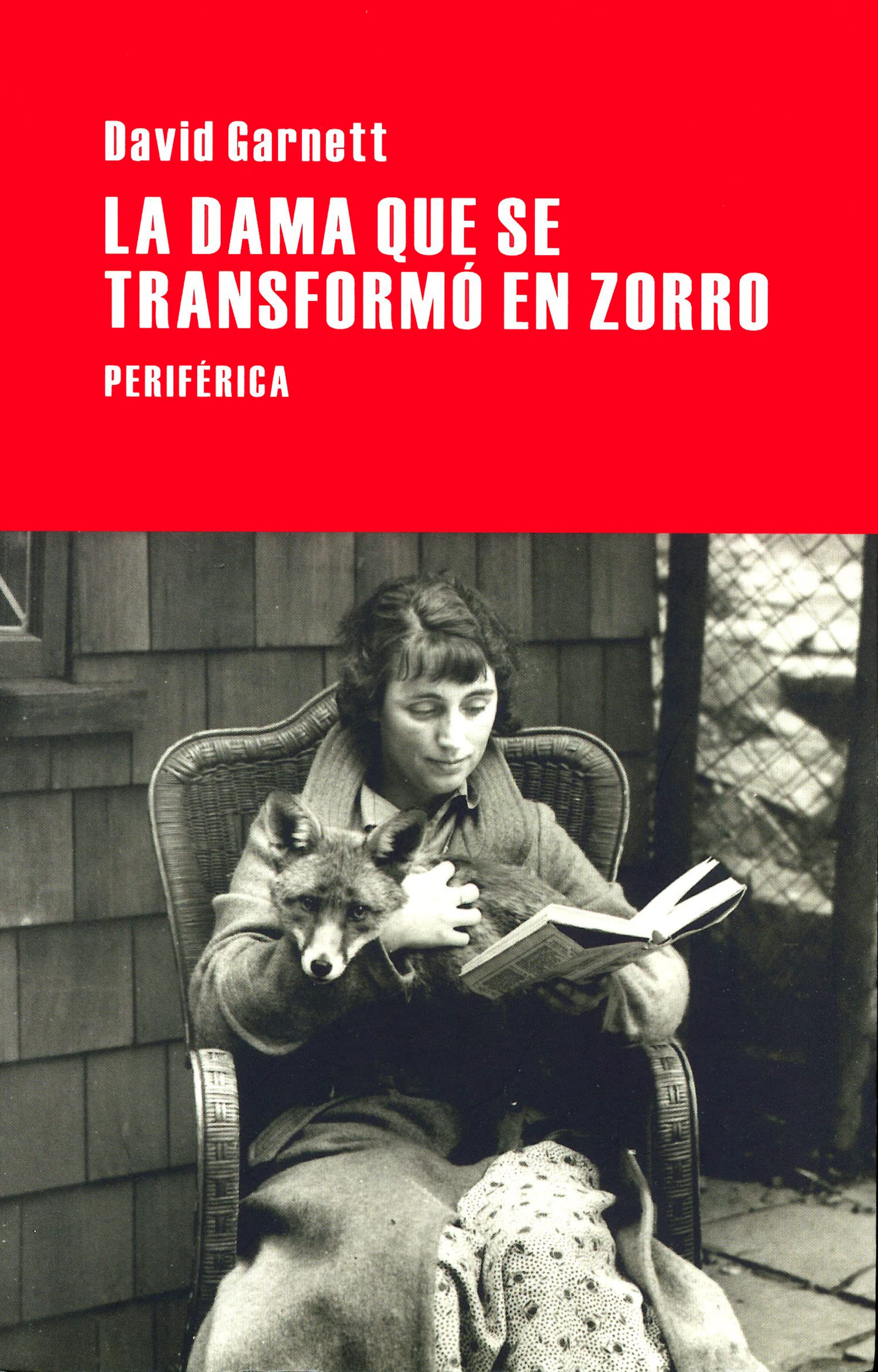 La Dama Que Se Transformó En Zorro: 61 (Largo recorrido)