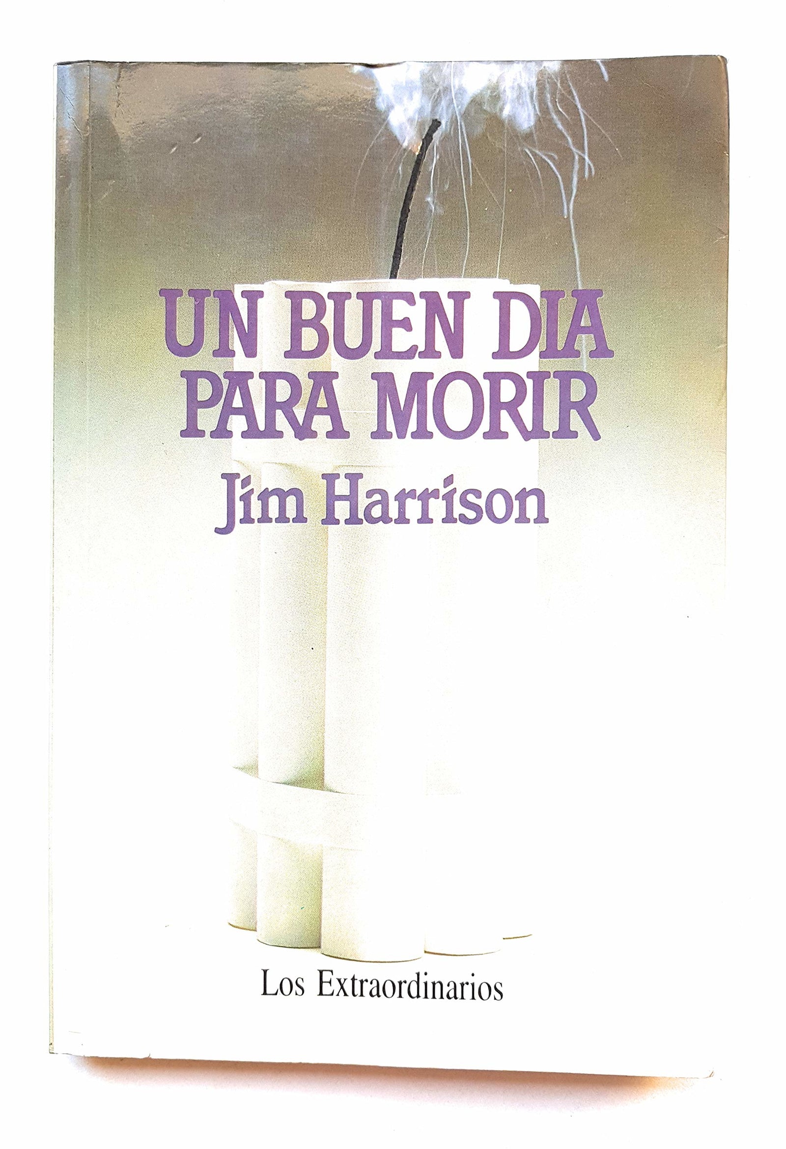 UN Buen Dia Para Morir/a Good Day to Die