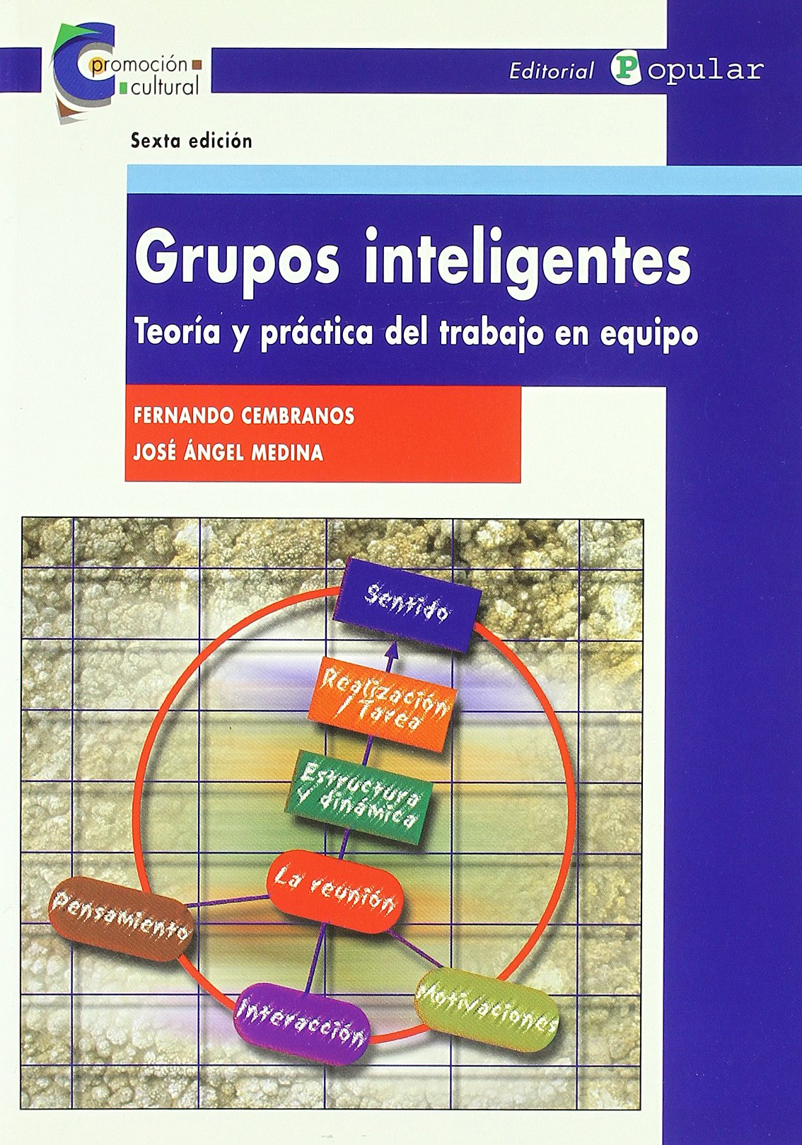 Grupos inteligentes: Teoría y práctica del trabajo en equipo (Promoción cultural)