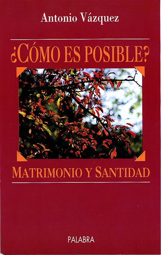 Matrimonio y santidad. ¿Cómo es posible?