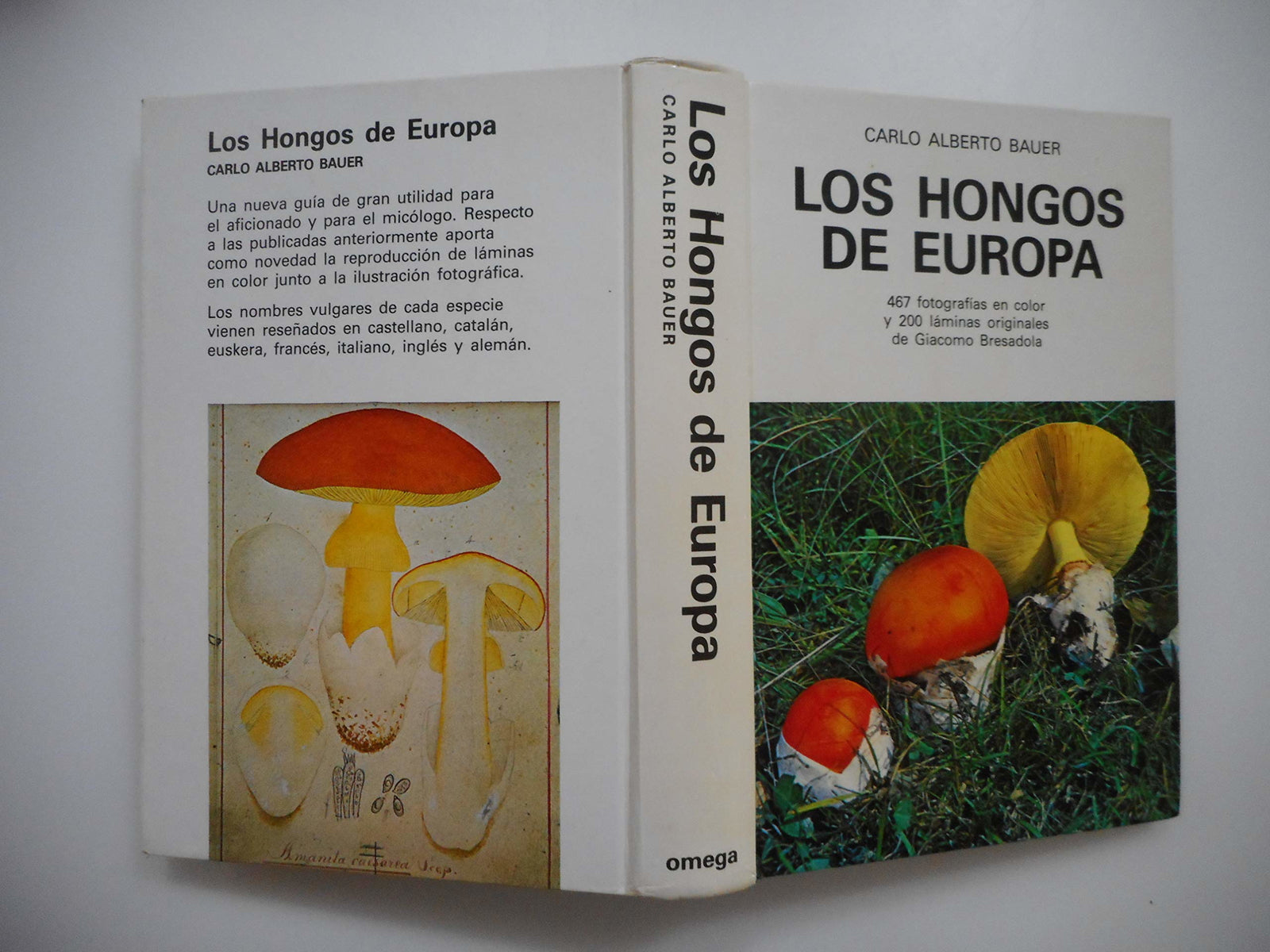 LOS HONGOS DE EUROPA (GUIAS DEL NATURALISTA-HONGOS Y PLANTAS CRIPTÓGAMAS)