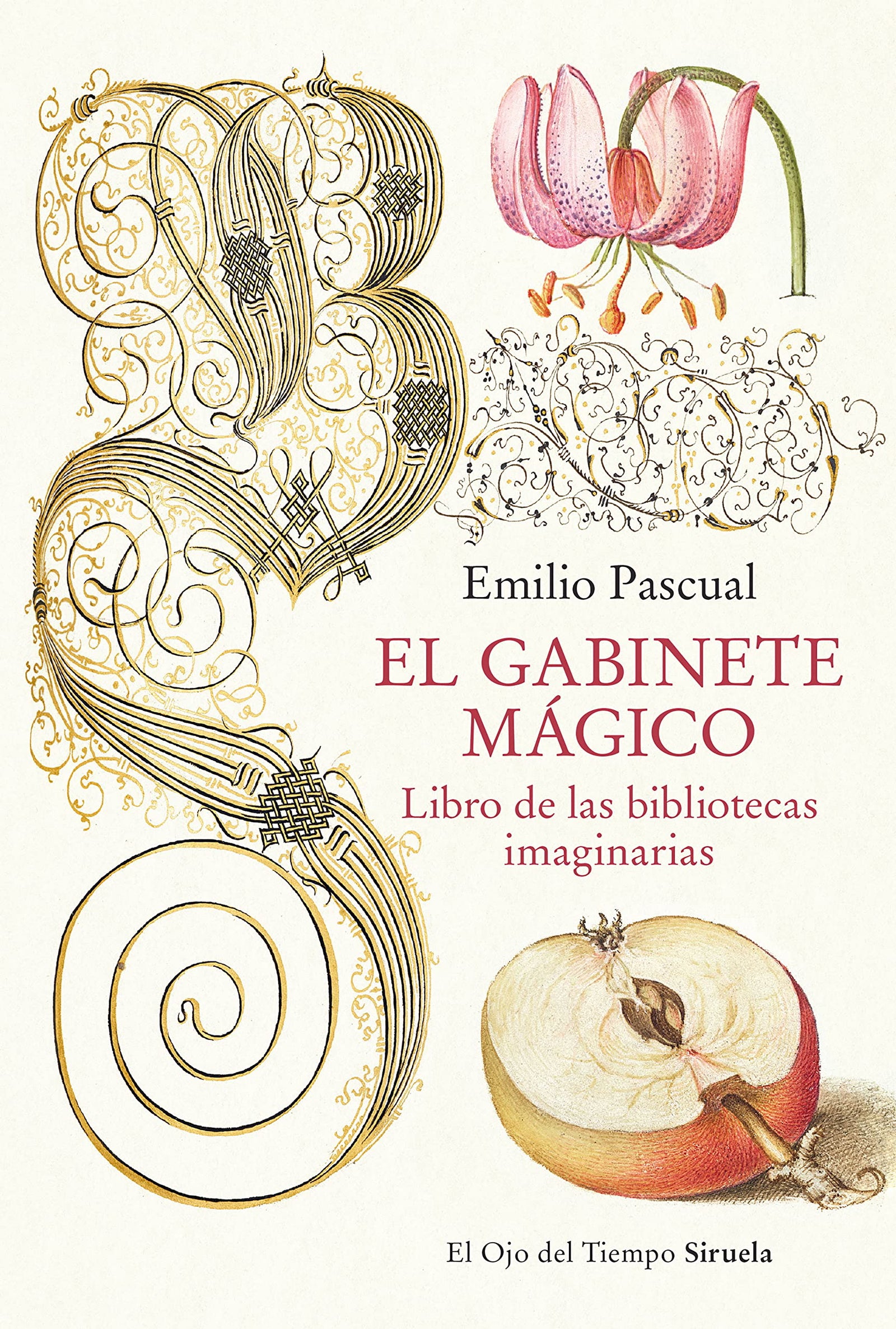 El gabinete mágico: Libro de las bibliotecas imaginarias: 141 (El Ojo del Tiempo)