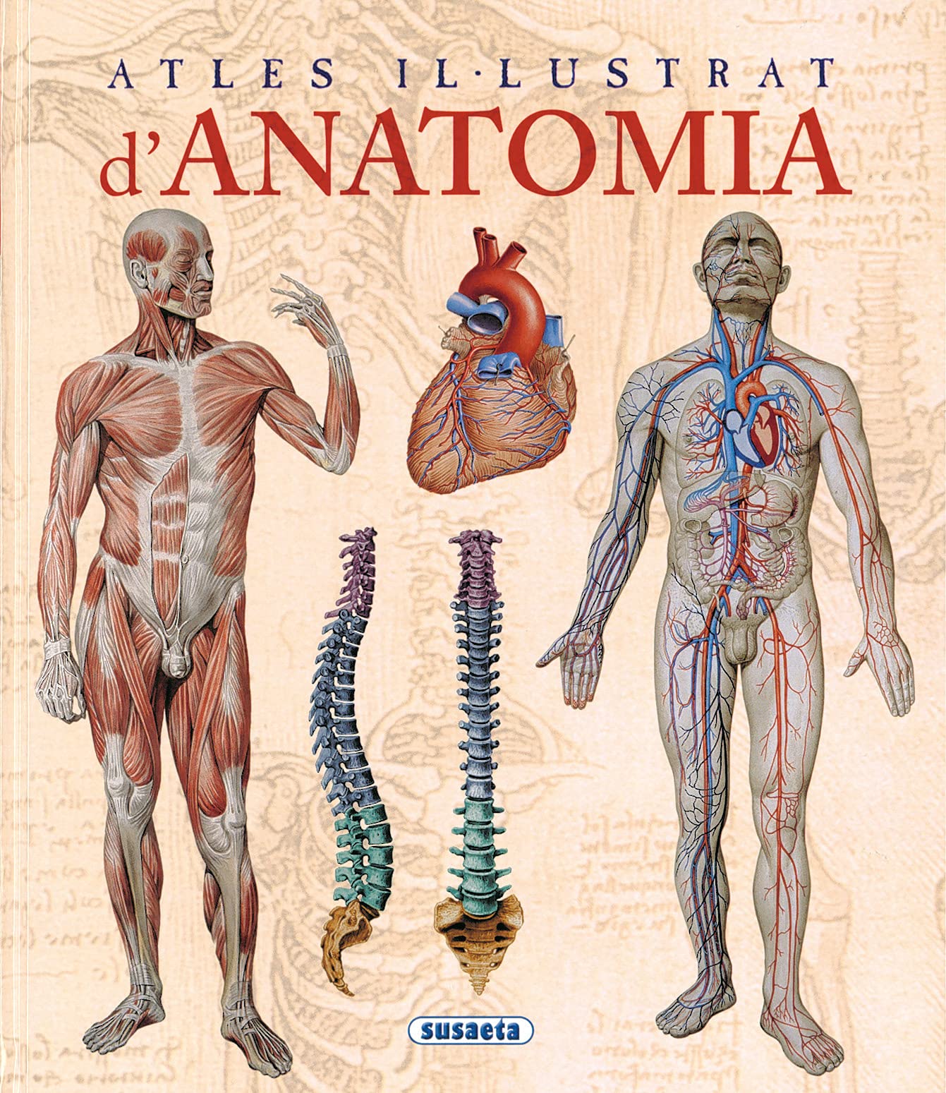 Anatomia, Atles Il.Lustrat