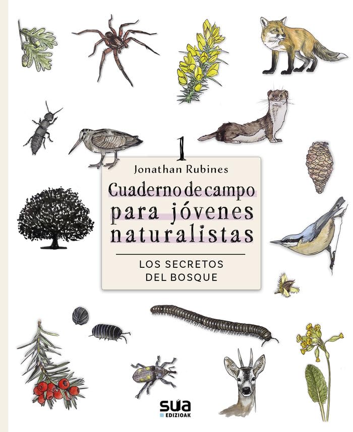Los secretos del Bosque: Cuaderno de campo para jovenes naturalistas: 2