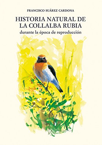 Historia Natural de la Collalba Rubia (Theatrum naturae. Serie maior)