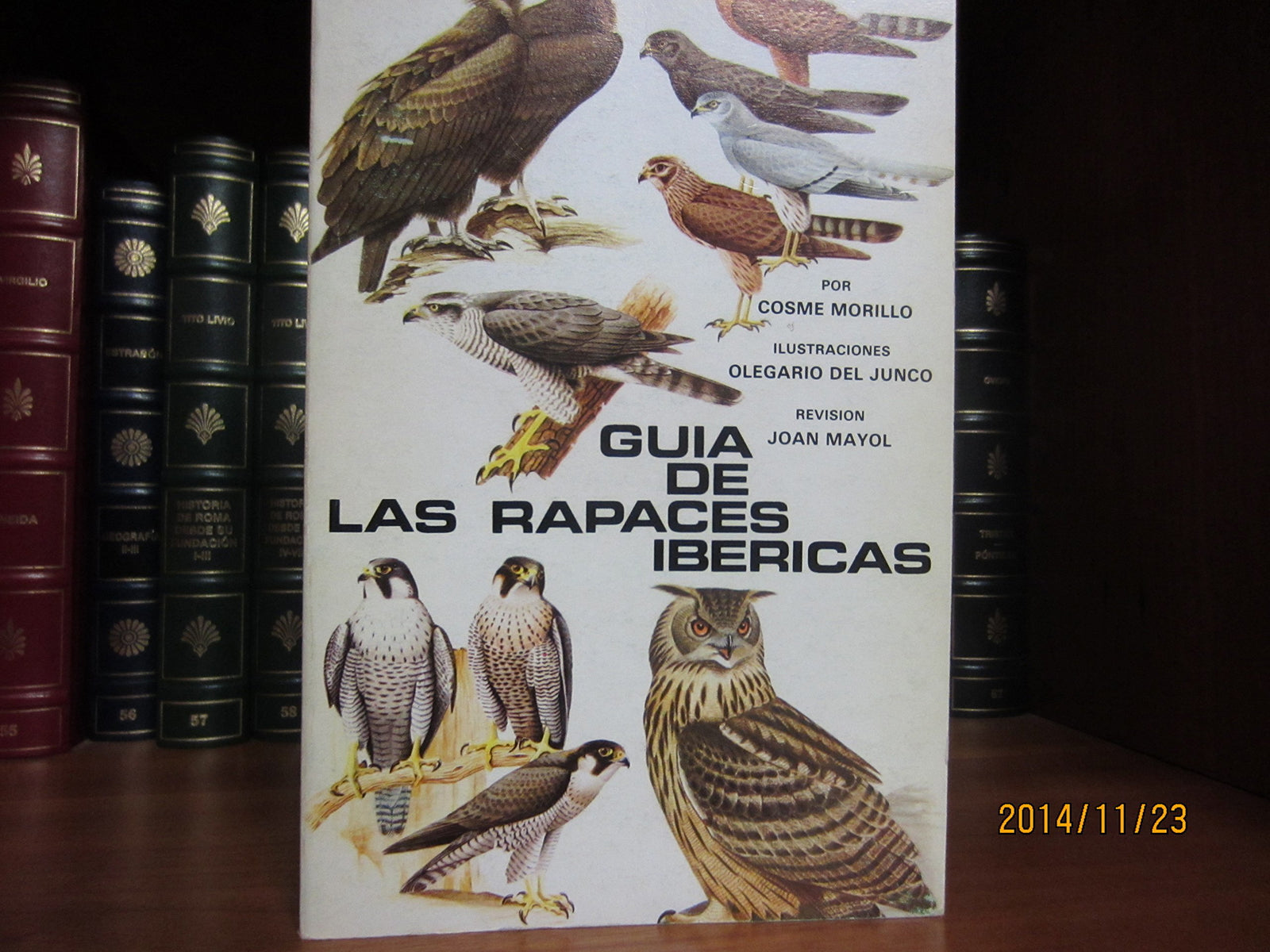 Guia de las rapaces ibericas
