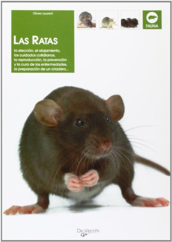 Las ratas (Animales)