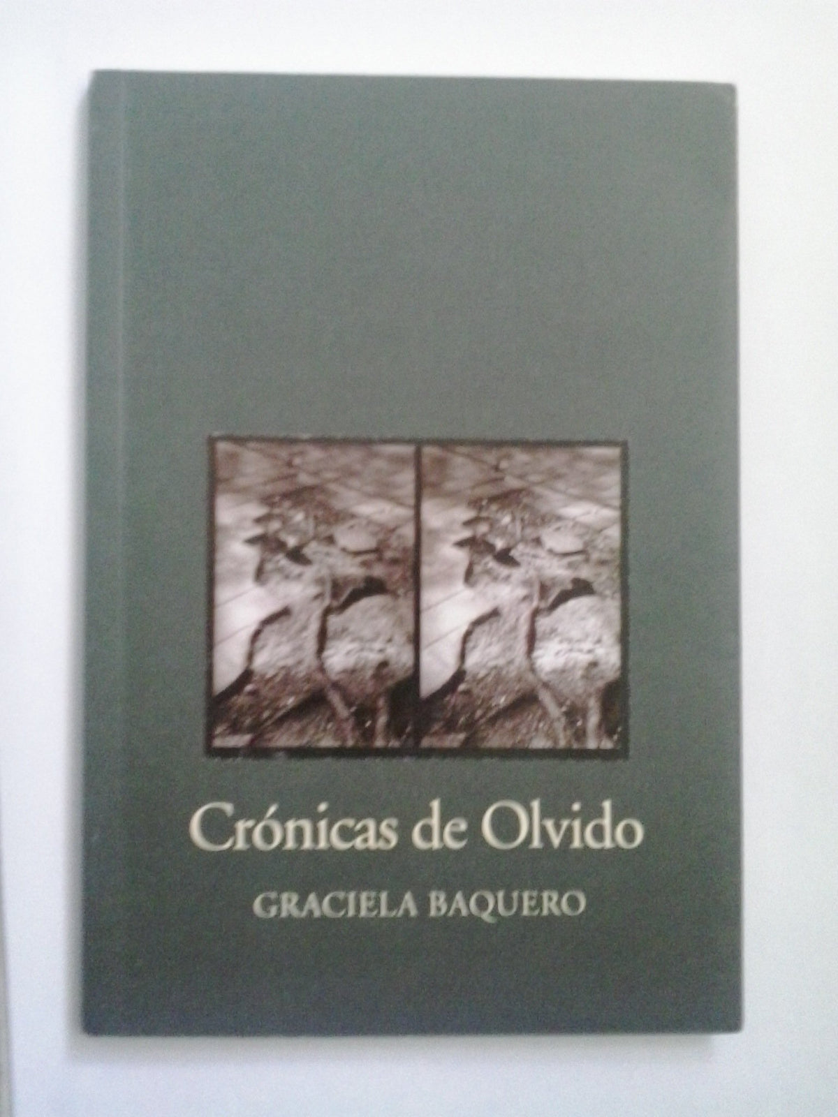 Crónicas de Olvido