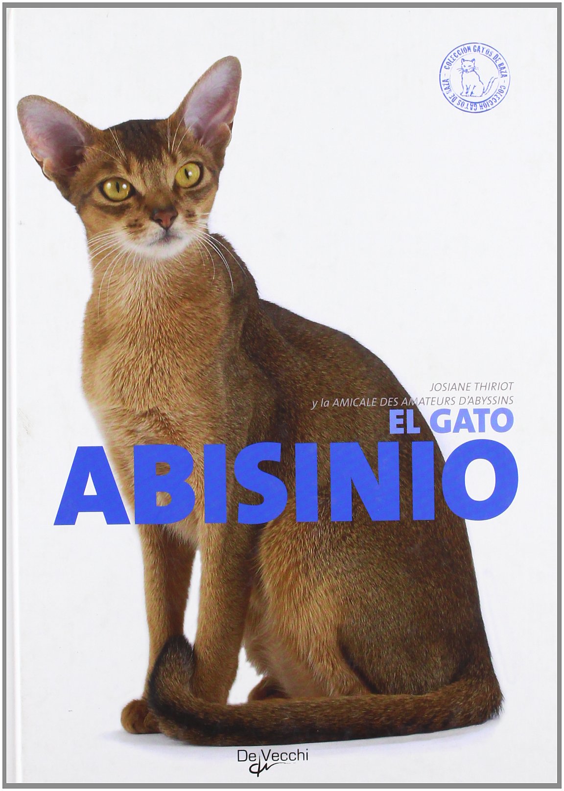 El gato abisinio (Animales)