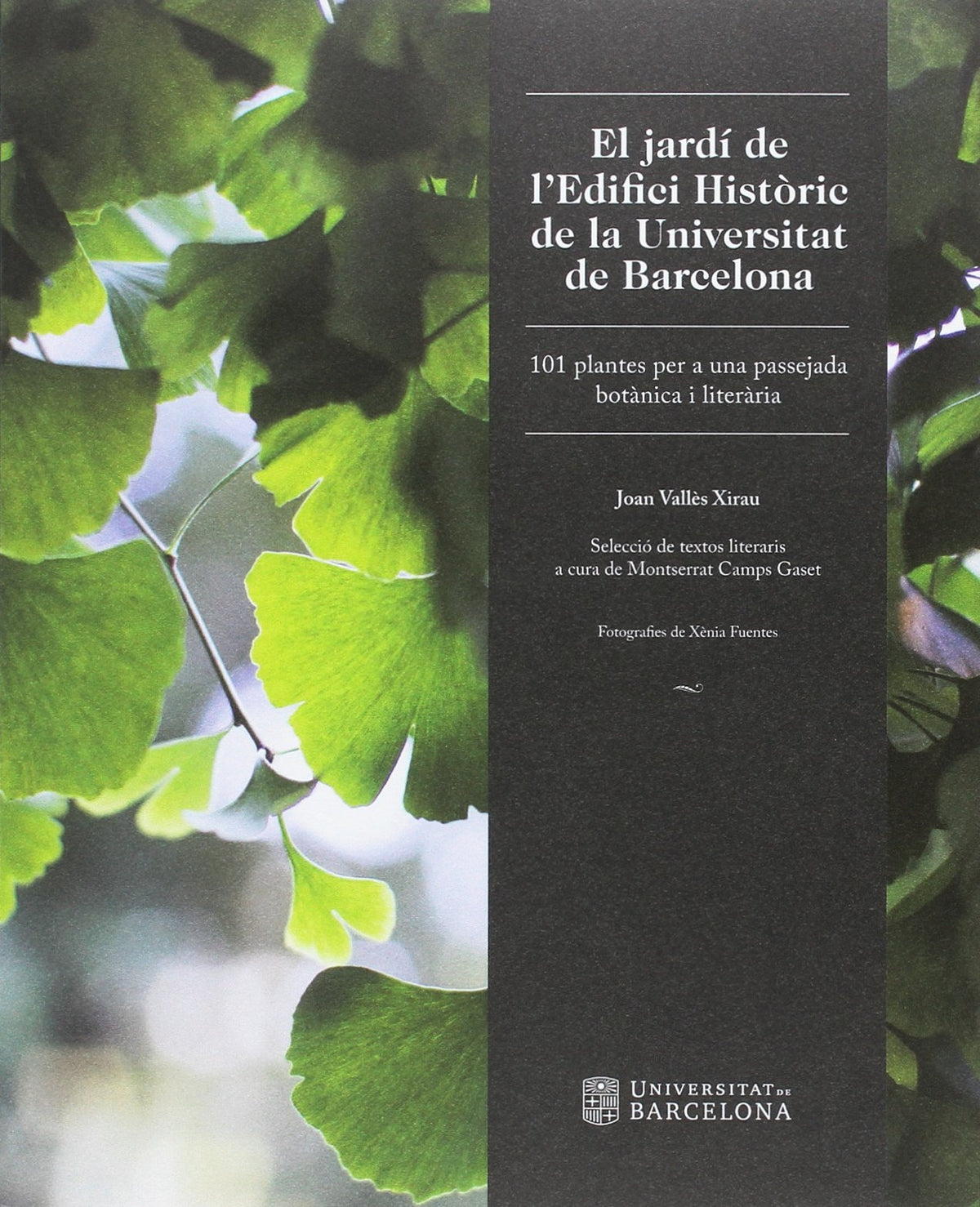 El jardí de lEdifici Històric de la Universitat de Barcelona