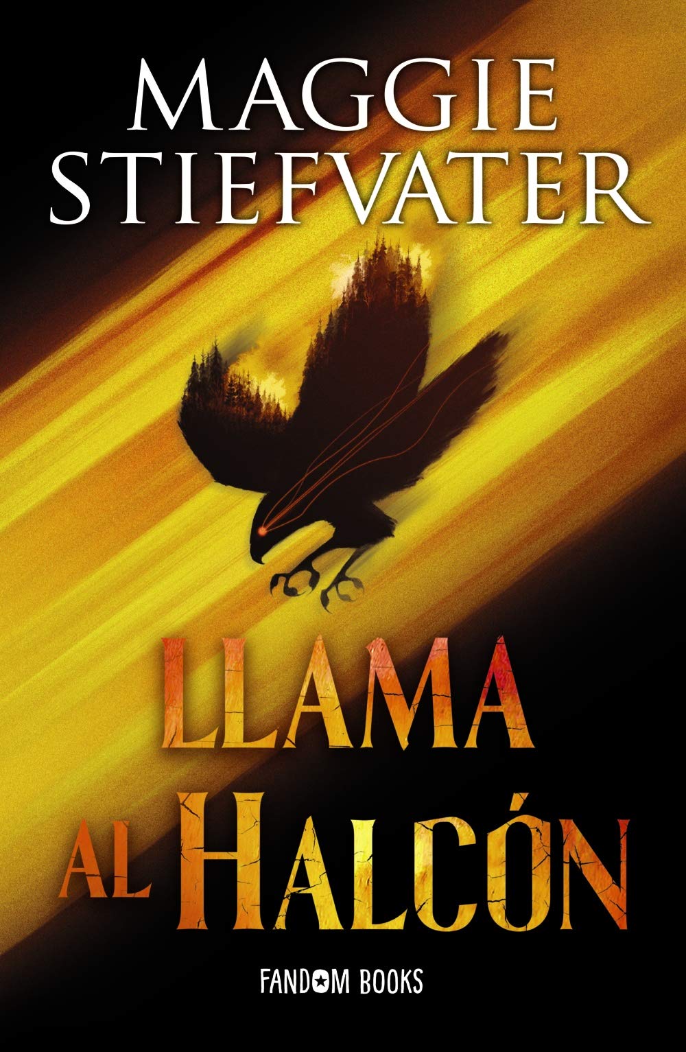 Llama al halcón (rústica): Trilogía de los soñadores. Libro 1 (Fantasía)