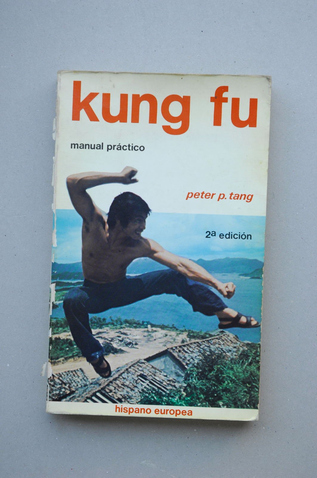 KUNG-FU MANUAL PRACTICO (SALUD,YOGA,RELAJACION)