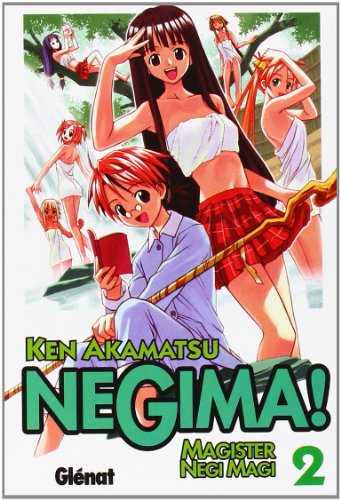 Negima! 2: Magister Negi Magi (Shonen Manga)