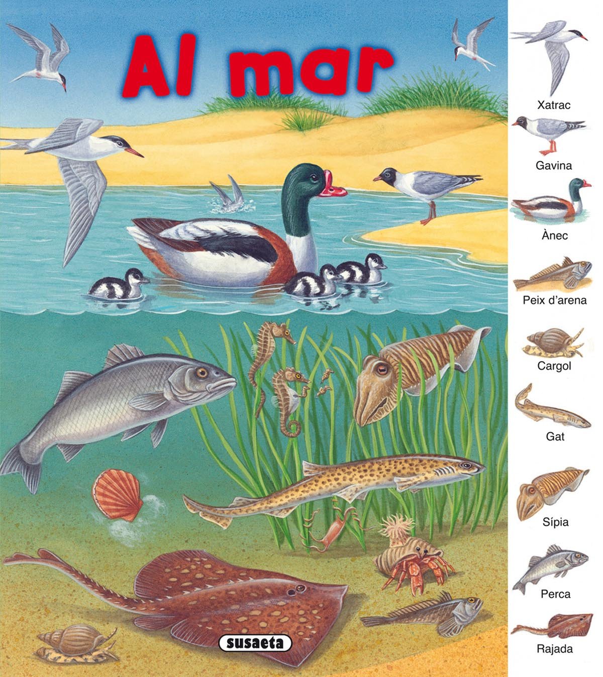 Al mar (Busca i aprèn)