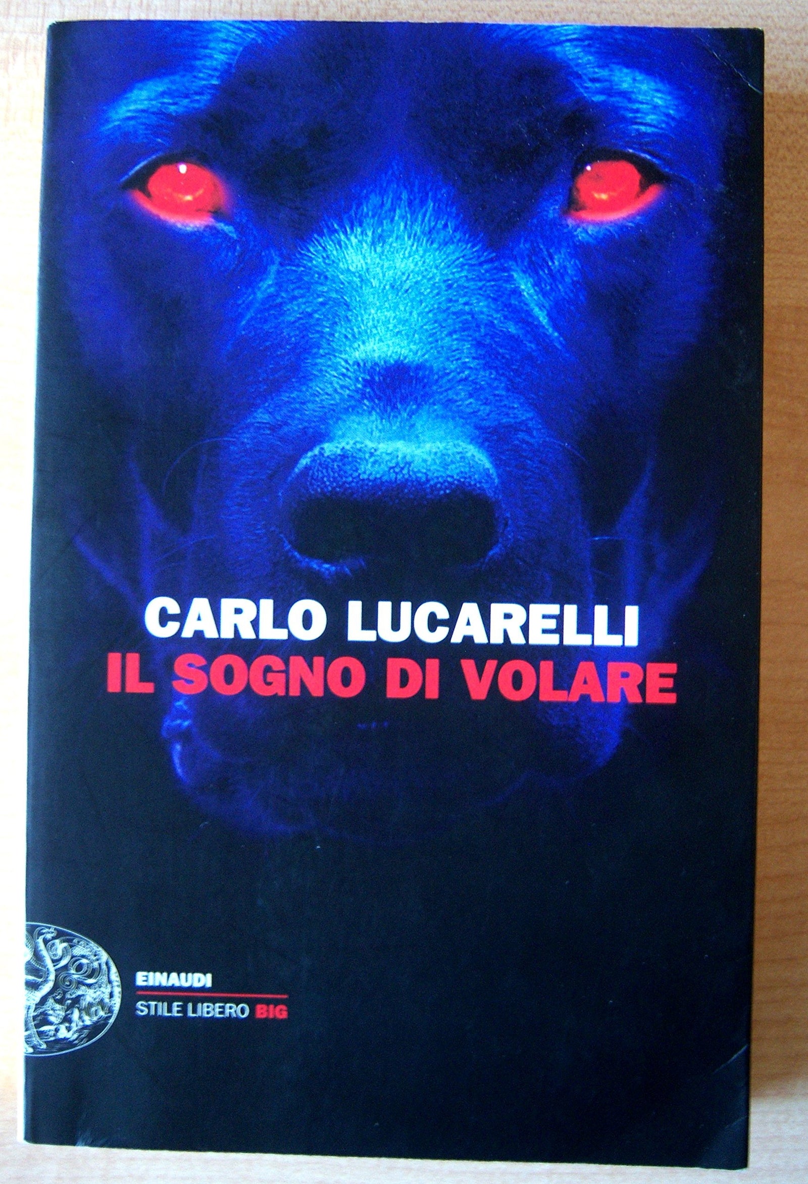 Il sogno di volare (Einaudi. Stile libero big)