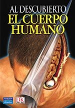 Al descubierto: el cuerpo humano