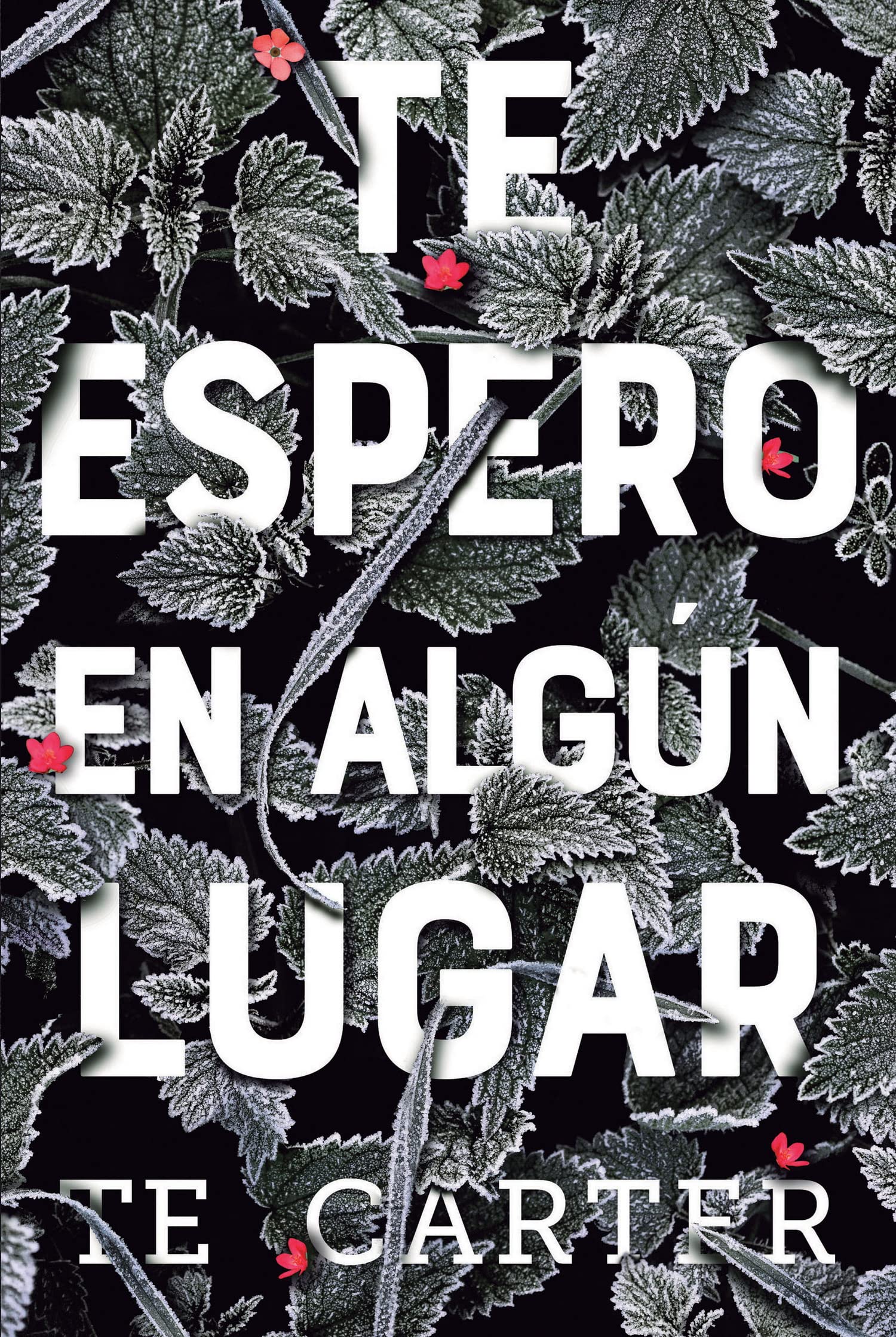 Me detengo en algún lugar (Ficción Juvenil)