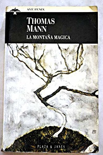 Montaña magica, la