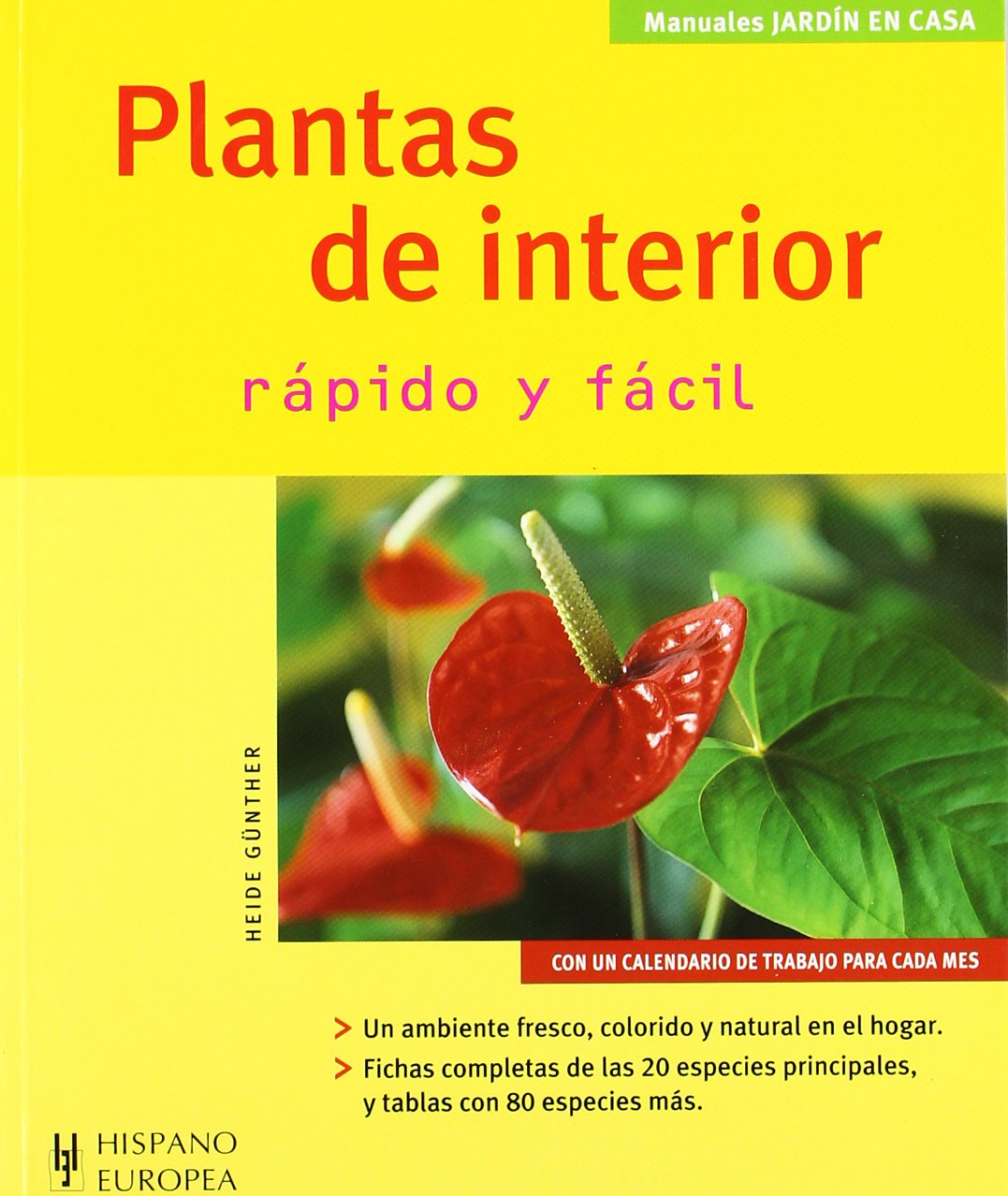 Plantas de interior (Jardín en casa)