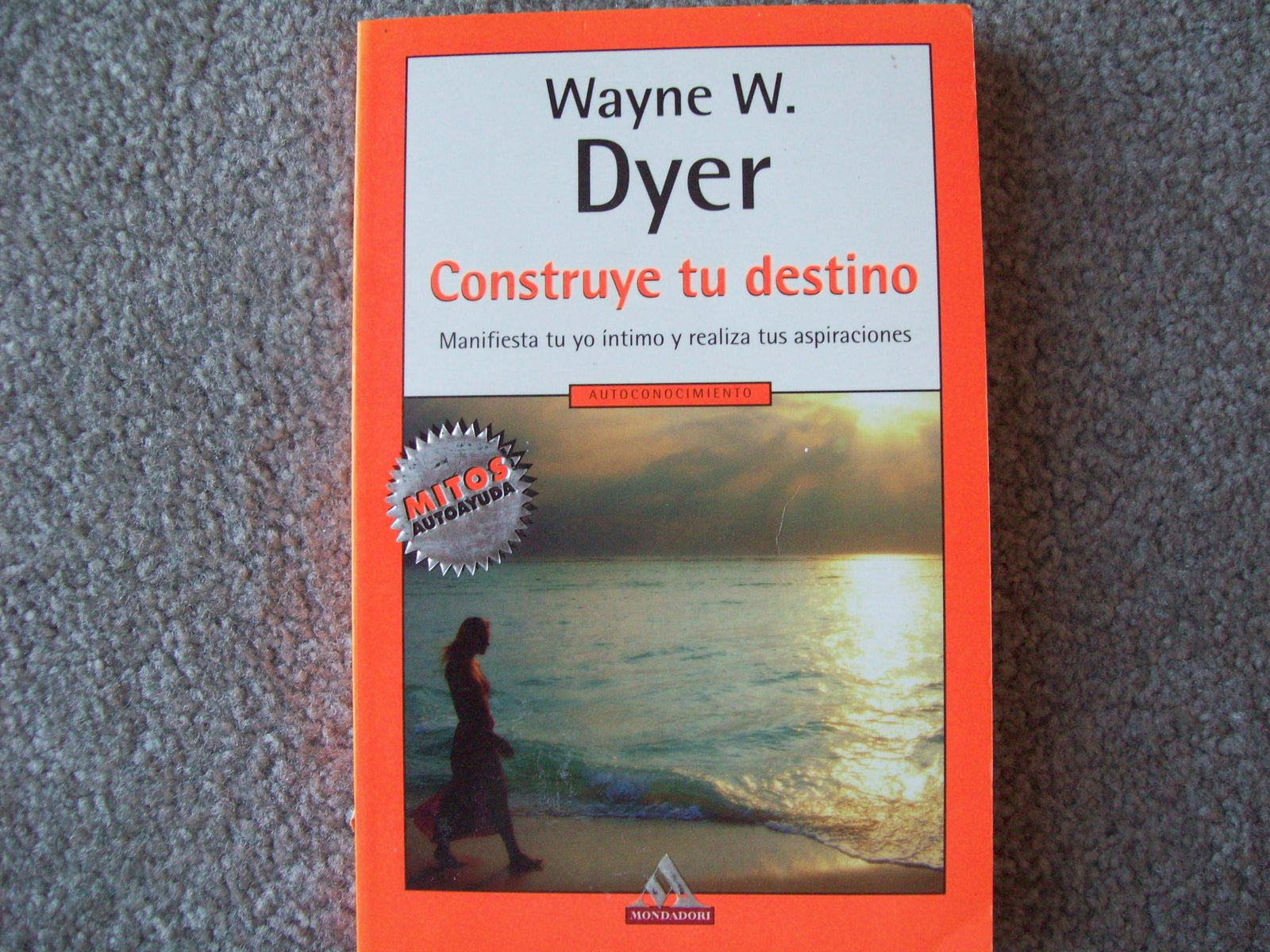 Construye Tu Destino / Manifest Your Destiny
