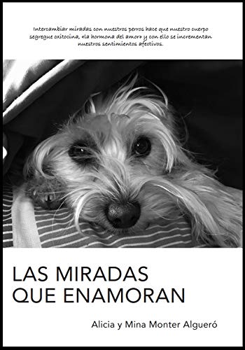 LAS MIRADAS QUE ENAMORAN