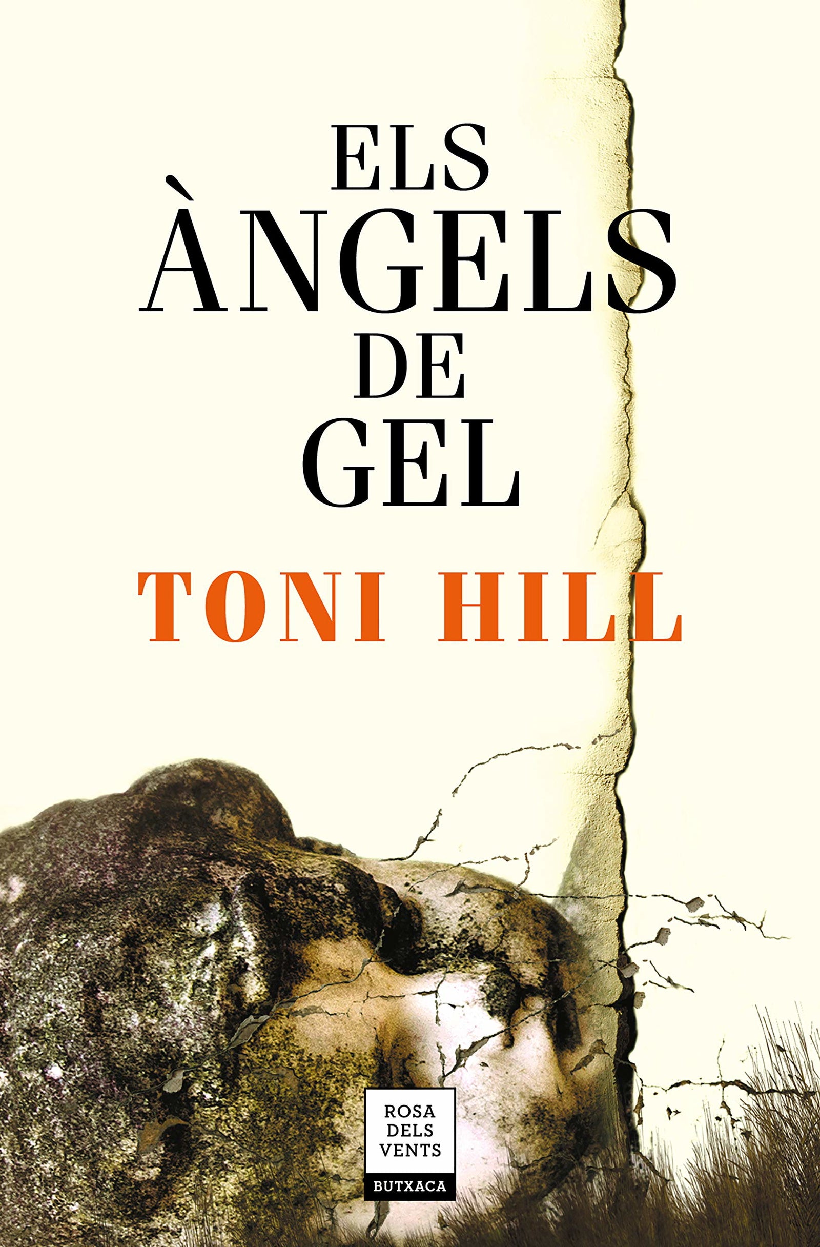 Els àngels de gel (Narrativa)
