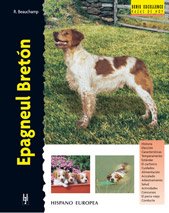 Epagneul bretón (Excellence)