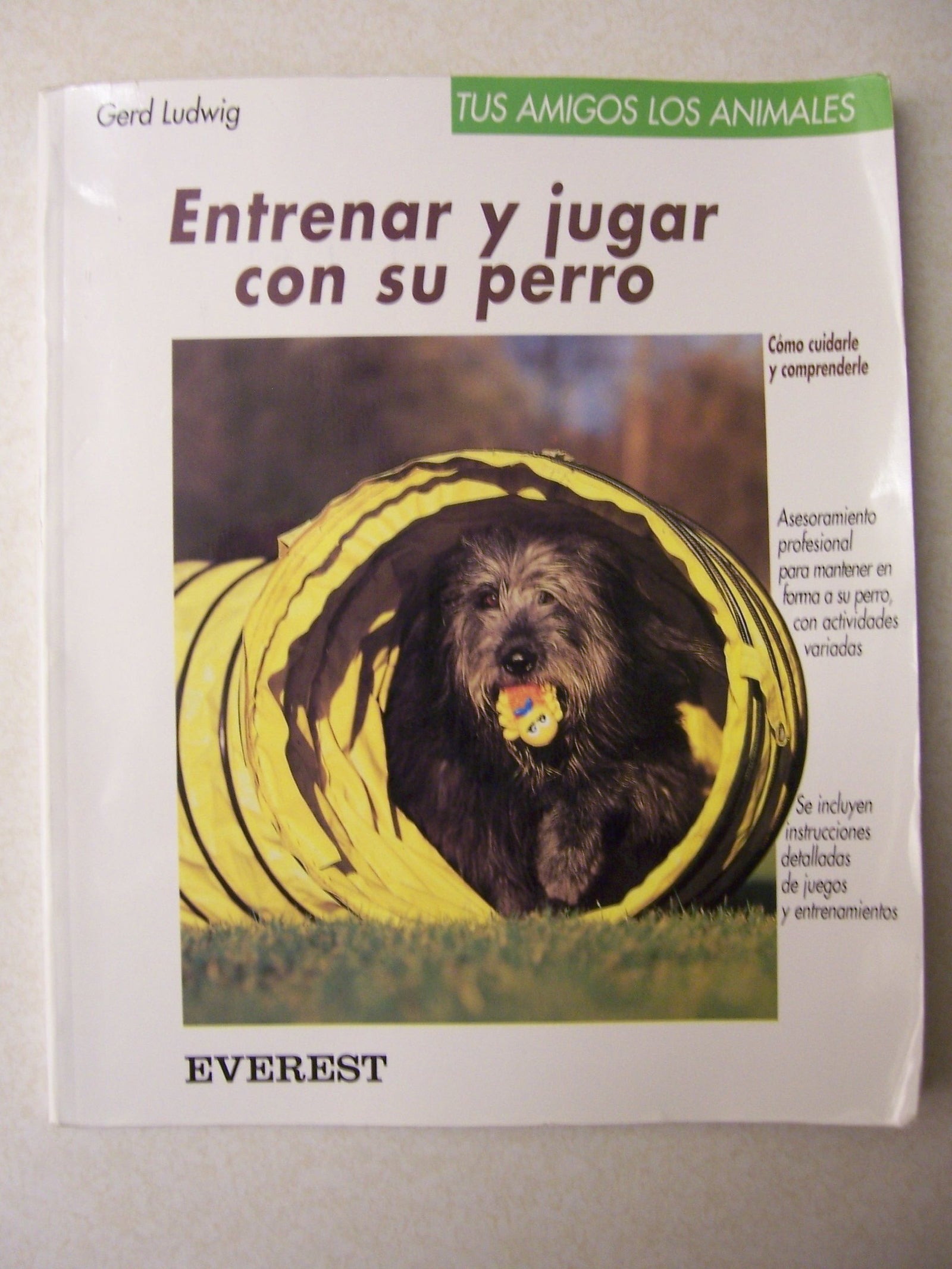 Entrenar y jugar con su perro: Cómo cuidarle y comprenderle (Tus amigos los animales)