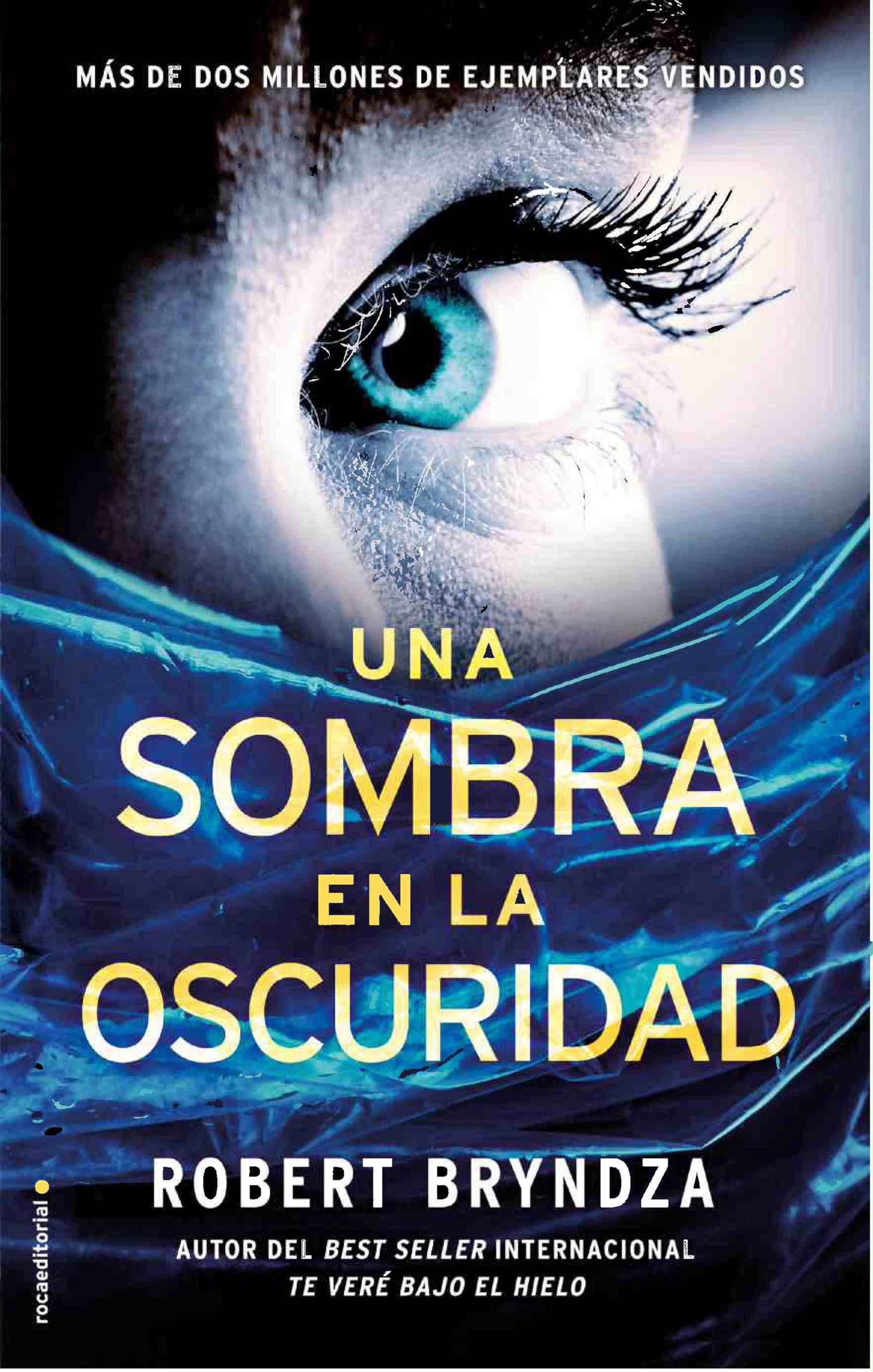 Una sombra en la oscuridad (Serie Erika Foster 2) (Criminal)