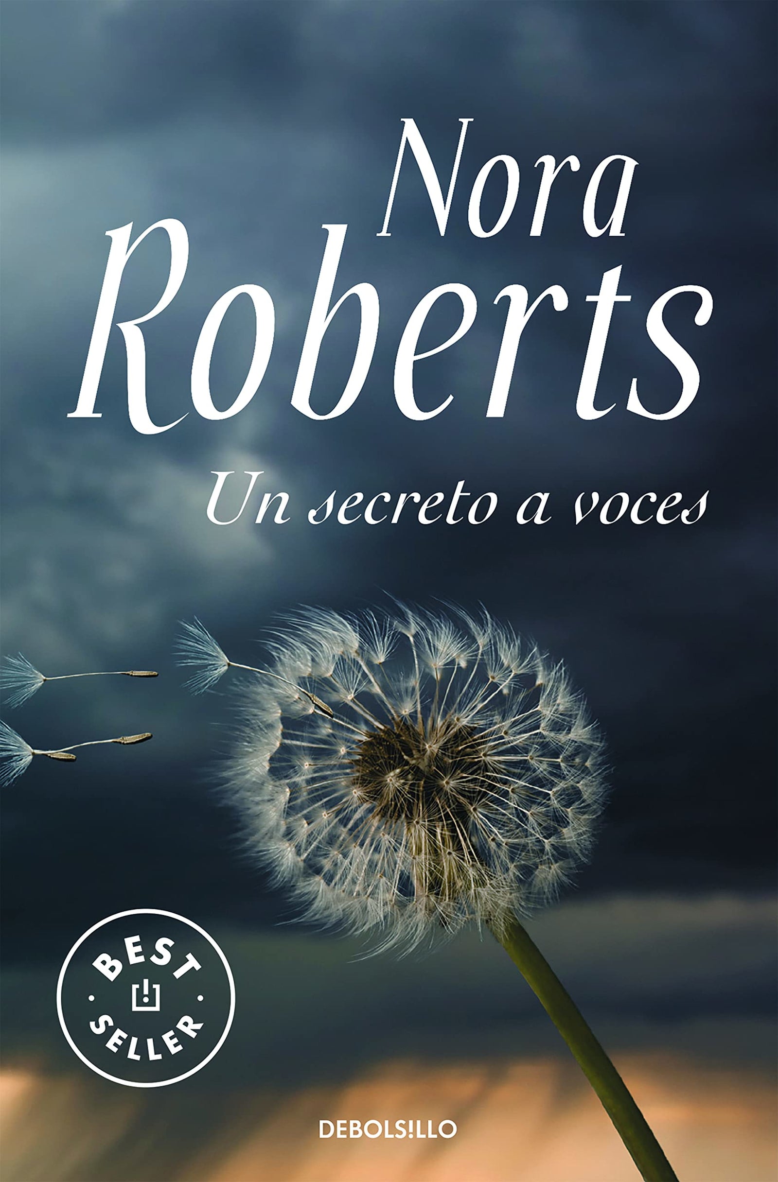 Un secreto a voces (Best Seller)