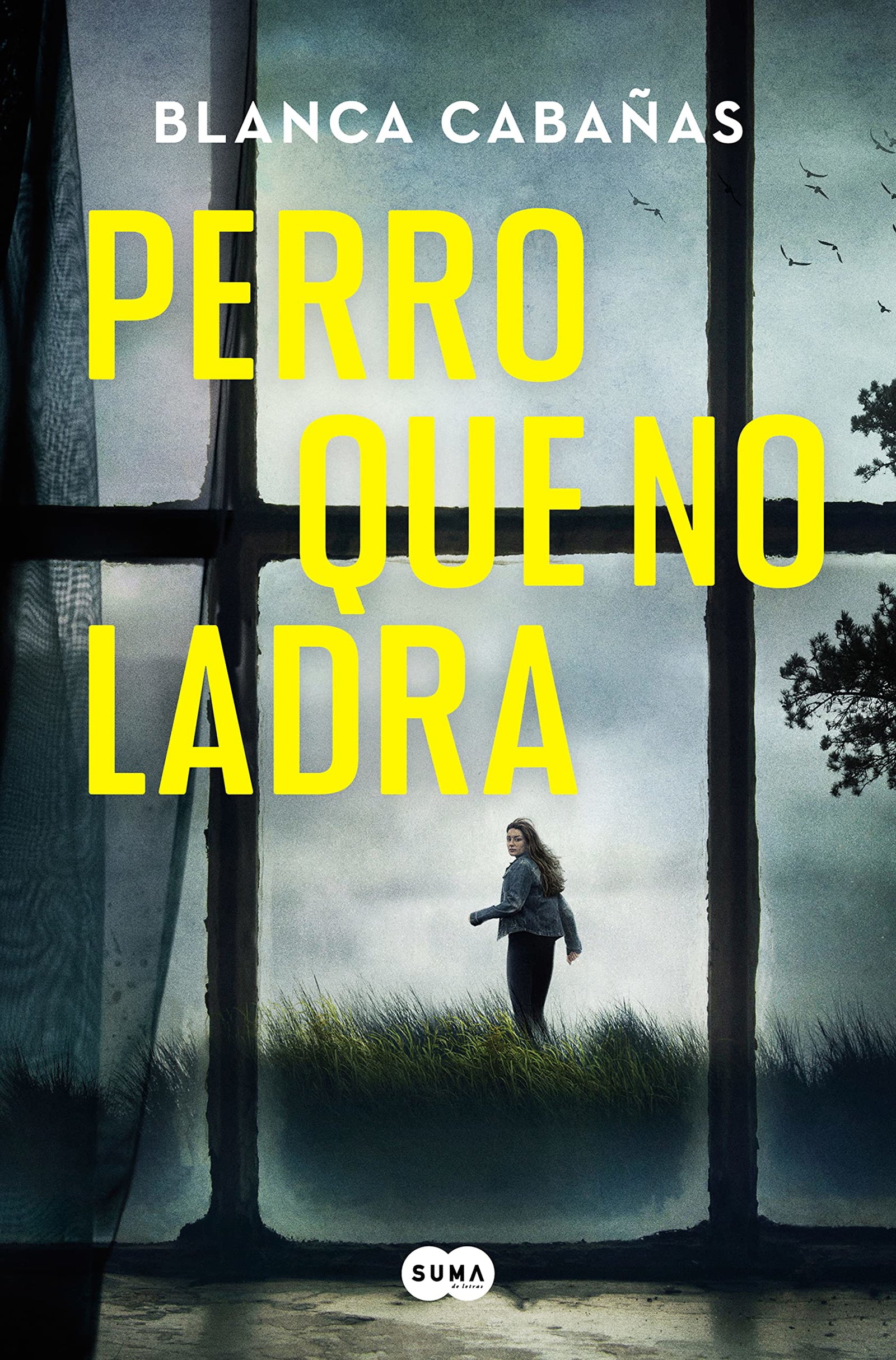 Perro que no ladra (SUMA)
