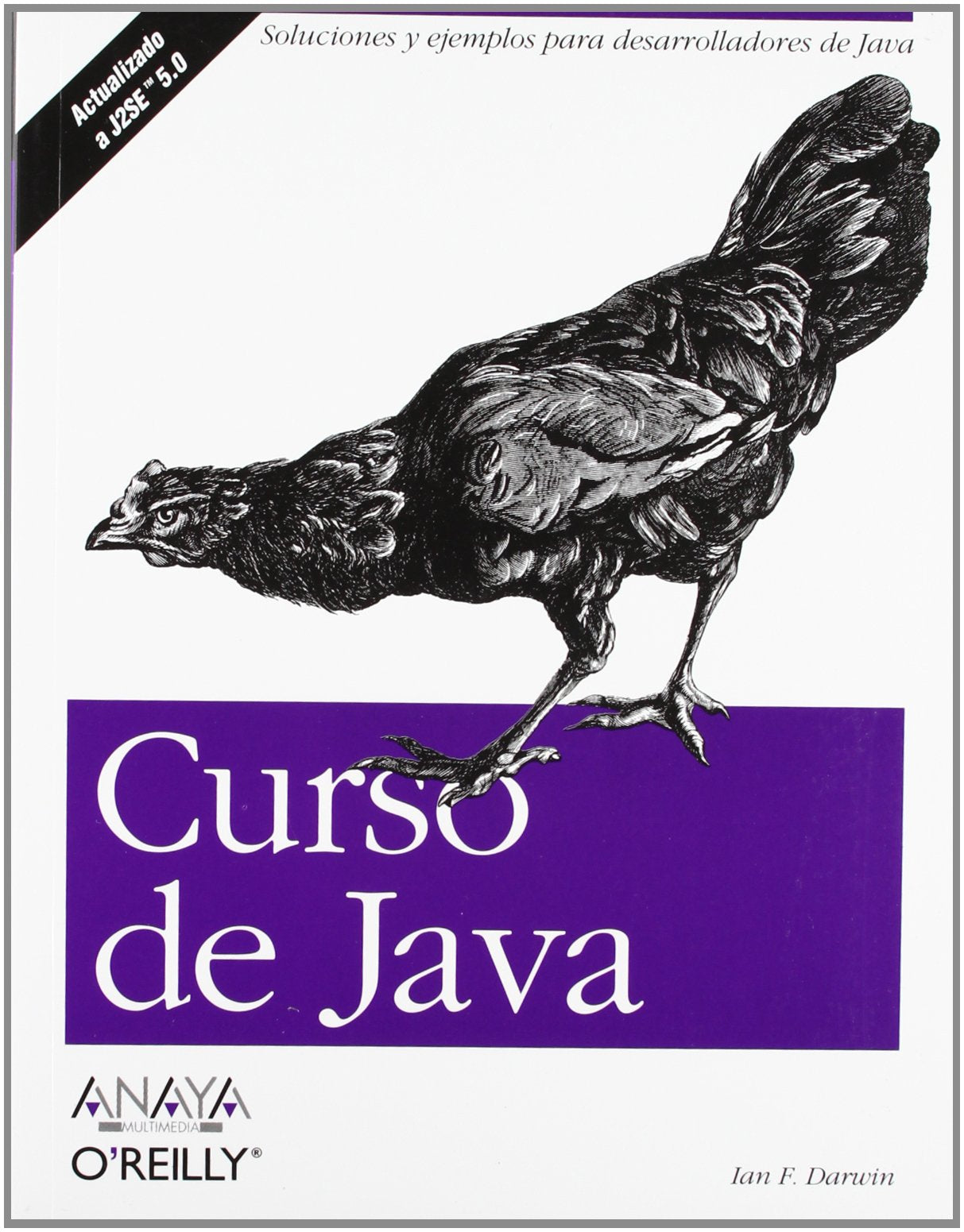 Curso de Java (Anaya Multimedia/O´Reilly)