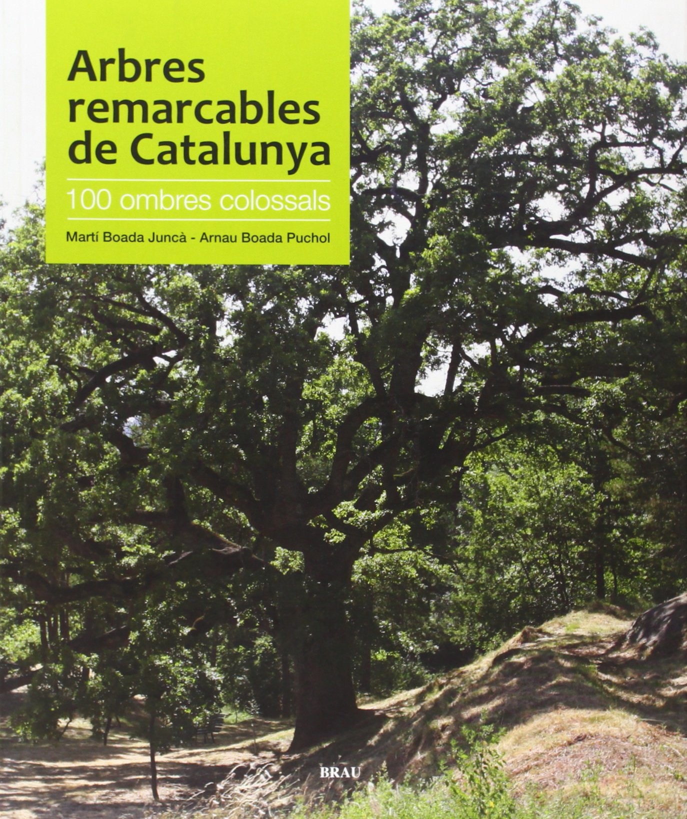 Arbres remarcables de Catalunya: 100 ombres colossals